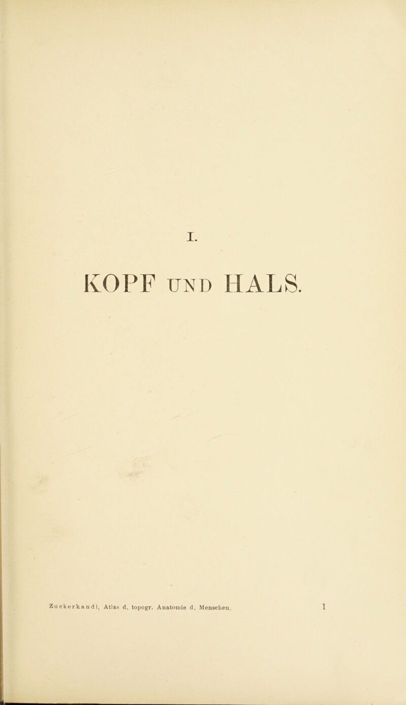 IvOPF und HALS. Zuckerkandl, Atlas d. topogr. Anatomie d. Menschen. 1