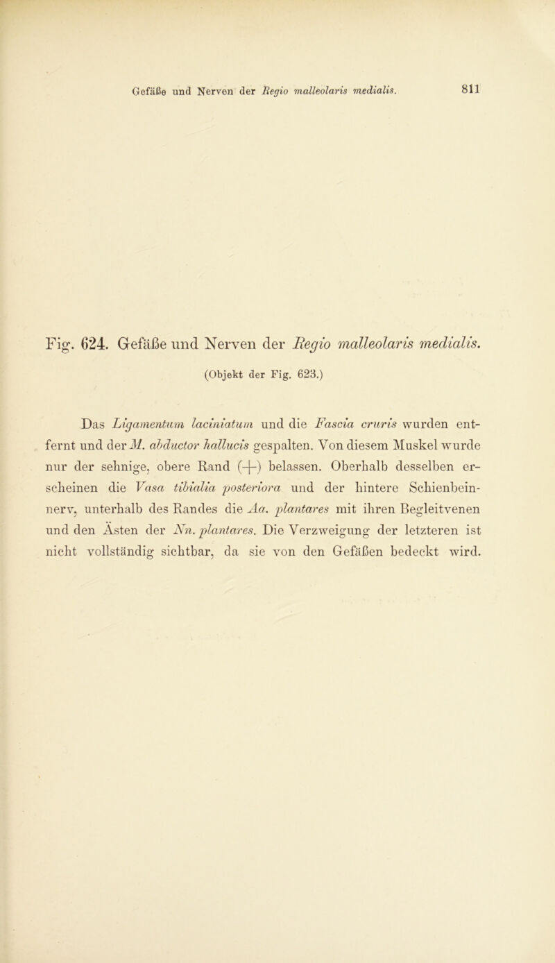 Fig. 624. Gefäße und Nerven der Regio malleolaris medialis. (Objekt der Fig. 623.) Das Ligamentum laciniatum und die Fascia cruris wurden ent- fernt und der di. abductor hallucis gespalten. Von diesem Muskel wurde nur der sehnige, obere Rand (-(-) belassen. Oberhalb desselben er- scheinen die Vasa tibialia posteriora und der hintere Schienbein- nerv, unterhalb des Randes die Aa. plantares mit ihren Begleitvenen und den Ästen der Nn. plantares. Die Verzweigung der letzteren ist nicht vollständig sichtbar, da sie von den Gefäßen bedeckt wird.