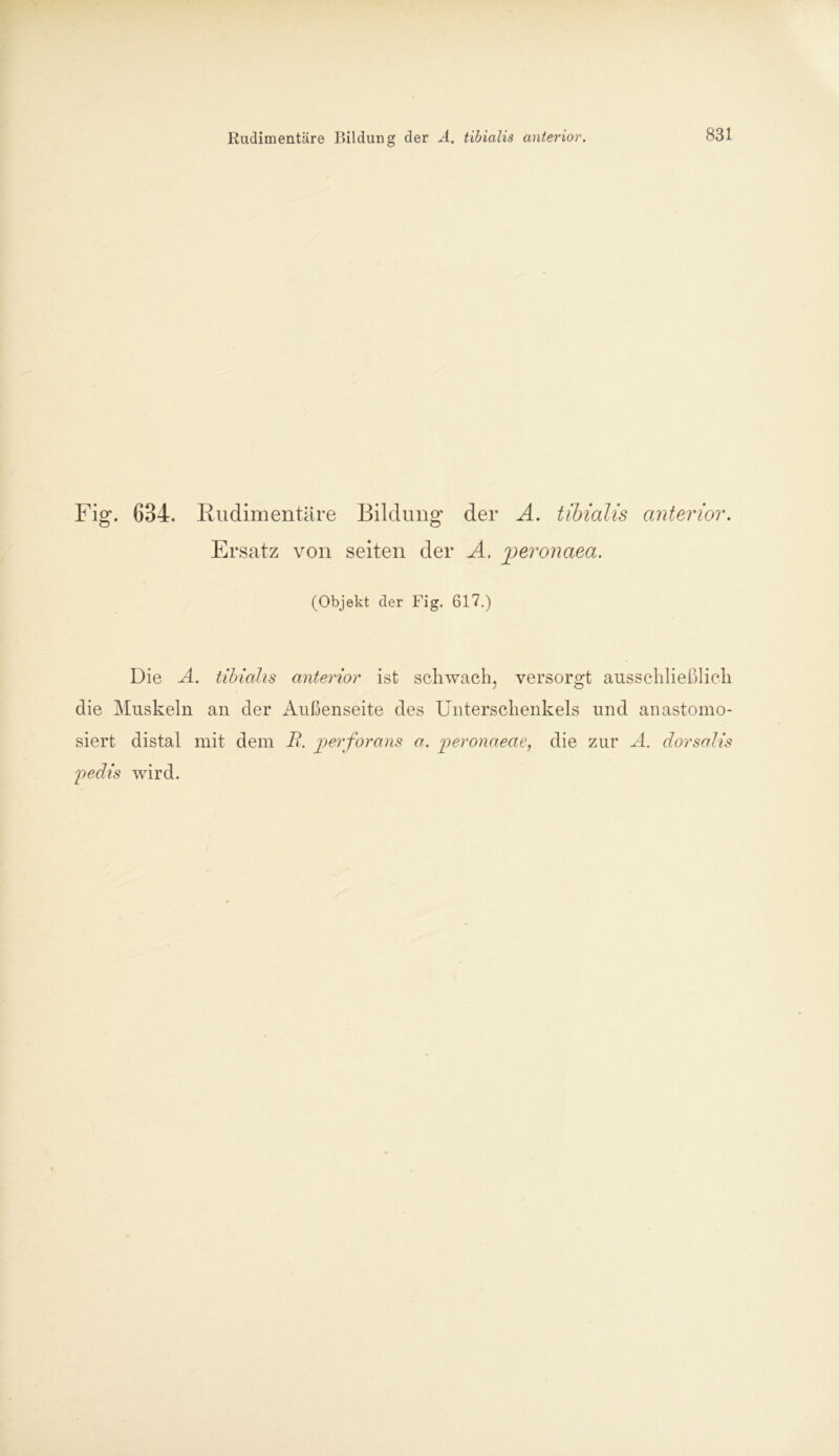 Rudimentäre Bildung der A. tibialis anterior. Fi g. 634. Rudimentäre Bildung der A. tibialis anterior. Ersatz von seiten der A. jjeronaea. (Objekt der Fig. 617.) Die A. tibialis anterior ist schwach, versorgt ausschließlich die Muskeln an der Außenseite des Unterschenkels und anastomo- siert distal mit dem i?. perforans a. peronaeae, die zur A. dorsalis pedis wird.