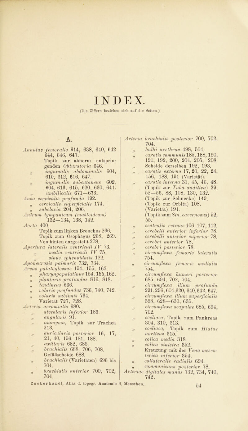 INDEX. (Die Ziffern beziehen sich auf die Seiten.) A. Annulus femoralis 614, 638, 640, 642 644, 646, 647. Topik zur abnorm entsprin- genden Obturatoria 646. „ inguinalis abdominalis 604, 610, 612, 616, 647. „ inguinalis subcutaneus 602, 604, 613, 615, 620, 630, 641. „ umbilicalis 671—673. Ansa cervicalis profunda 192. „ cervicalis superficialis 174. „ subclavia 204, 206. Antrum tympanicum (maStoideum) 132-134, 138, 142. Aorta 400. Topik zum linken Bronchus 266. Topik zum Ösophagus 268, 269. Von hinten dargestellt 278. Apertura lateralis ventriculi IV 73. ,, media ventriculi IV 1b. „ sinus sphenoidalis 122. Aponeurosis palmaris 732, 734. Arcus palatoglossus 154, 155, 162. „ pharyngopalatinus 154,155,162. „ plantaris profundus 816, 818. „ tendineus 666. ,, volaris prof undus 736, 740, 742. „ volaris sublimis 734. Varietät 727, 728. Arteria acromialis 680. „ alveolaris inferior 183. „ angularis 91. „ anonyma, Topik zur Trachea 213. ' „ auricularis posterior 16, 17, 21, 40, 156, 181, 188. „ axillaris 682, 685. „ brachialis 688, 706, 708. Gefäßscheide 688. brachialis (Varietäten) 696 bis 704. „ brachialis anterior 700, 702, 704. Arteria n ;> ;; n n » ;; )) v n v ;; » » » )) )7 77 Arteriae brachialis posterior 700, 702, 704. bulbi urethrae 498, 504. carotis communis 18b, 188,190, 191, 192, 200, 204, 205, 208. Scheide derselben 192, 193. carotis externa 17, 20, 22, 24, 156, 188, 191 (Varietät). carotis interna 31, 45, 46, 48. (Topik zur Tuba auditiva) 29, 52—56, 88, 108, 130, 132. (Topik zur Schnecke) 149. (Topik zur Orbita) 108. (Varietät) 191. (Topik zum Sin. cavernosus) 52, 55. centralis retinae 106,107,112. cerebelli anterior inferior 78. cerebelli anterior superior 78. cerebri anterior 78. cerebri posterior 78. circumfiexa femoris lateralis 754. circumfiexa femoris medialis 754. circumfiexa liumeri posterior 685, 694, 702, 704. circumfiexa ilium profunda 291,296,604,620, 640;642, 647. circumfiexa ilium superficialis 598, 628-630, 635. circumfiexa scapulae 685, 694, 702. coeliaca, Topik zum Pankreas 304, 310, 313. coeliaca, Topik zum Hiatus aorticus 315. coli ca media 318. colica sinistra 352. Kreuzung mit der Vena niesen- terica inferior 354. collateralis radialis 694. communicans posterior 78. digitales manus 732, 734, 740, 742. Zuckerkand], Atlas d. topogr. Anatomie d. Menschen. 54