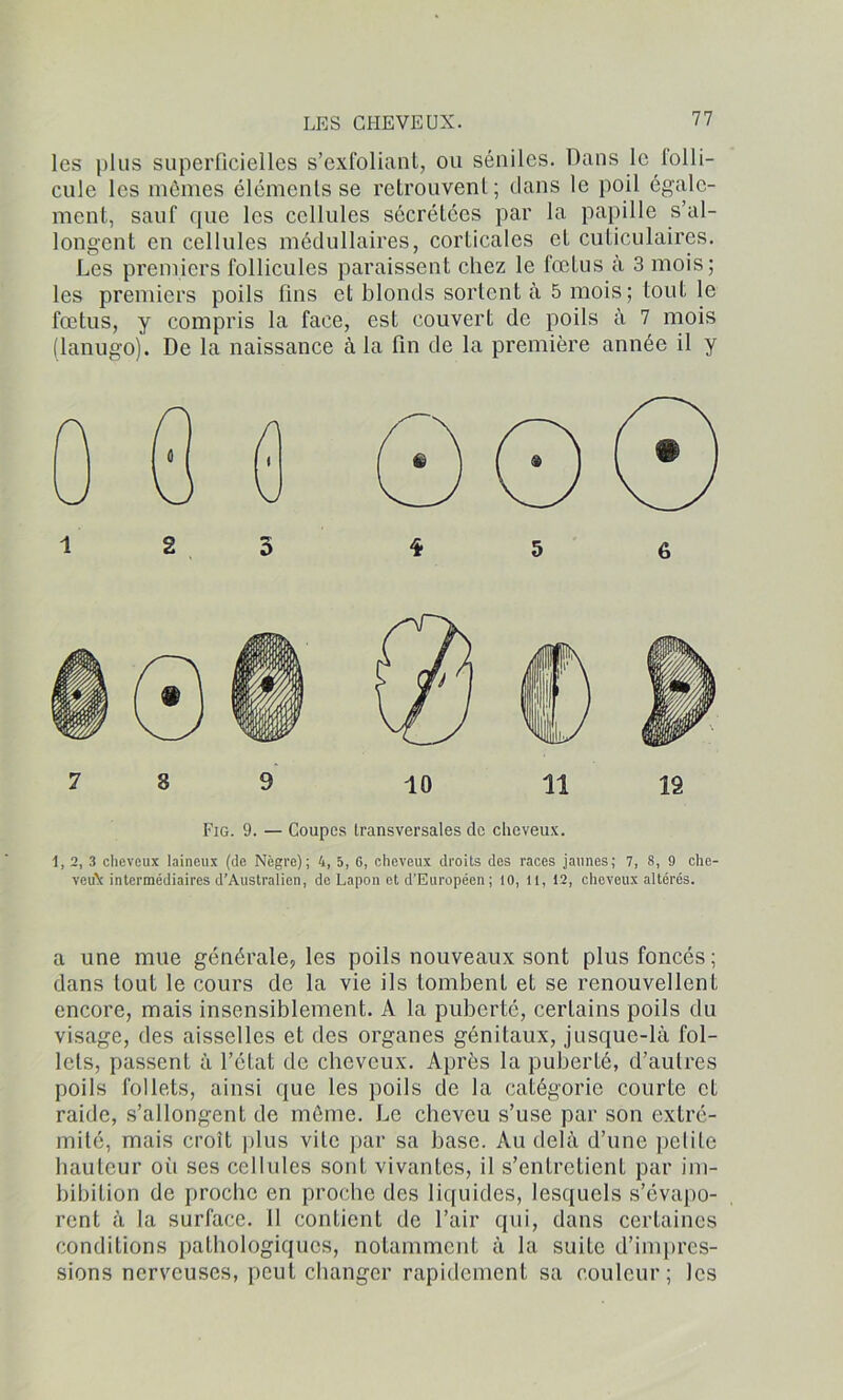 les plus superficielles s’exfoliant, ou séniles. Dans le folli- cule les mêmes éléments se retrouvent; dans le poil égale- ment, sauf que les cellules sécrétées par la papille s’al- longent en cellules médullaires, corticales et cuticulaircs. Les premiers follicules paraissent chez le fœtus à 3 mois; les premiers poils fins et blonds sortent à 5 mois; tout le fœtus, y compris la face, est couvert de poils à 7 mois (lanugo). De la naissance à la fin de la première année il y 1, 2, 3 cheveux laineux (de Nègre); 4, 5, G, cheveux droits des races jaunes; 7, 8, 9 che- veuX intermédiaires d’Australien, de Lapon et d’Européen; 10, 11, 12, cheveux altérés. a une mue générale, les poils nouveaux sont plus foncés ; dans tout le cours de la vie ils tombent et se renouvellent encore, mais insensiblement. A la puberté, certains poils du visage, des aisselles et des organes génitaux, jusque-là fol- lets, passent à l’état de cheveux. Après la puberté, d’autres poils follets, ainsi que les poils de la catégorie courte et raide, s’allongent de même. Le cheveu s’use par son extré- mité, mais croît plus vite par sa base. Au delà d’une pelile hauteur où ses cellules sont vivantes, il s’entretient par im- bibition de proche en proche des liquides, lesquels s’évapo- rent à la surface. Il contient de l’air qui, dans certaines conditions pathologiques, notamment à la suite d’impres- sions nerveuses, peut changer rapidement sa couleur; les