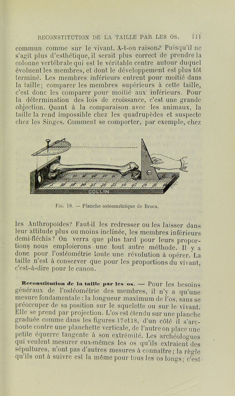 commun comme sur le vivant. A-t-on raison.? Puisqu’il ne s’agit plus d’esthétique, il serait plus correct de prendre la colonne vertébrale qui est le véritable centre autour duquel évoluent les membres, et dont le développement est plus tôt terminé. Les membres inférieurs entrent pour moitié dans la taille; comparer les membres supérieurs à cette taille, c’est donc les comparer pour moiLié aux inférieurs. Pour la détermination des lois de croissance, c’est une grande objection. Quant à la comparaison avec les animaux, la taille la rend impossible chez les quadrupèdes et suspecte chez les Singes. Comment se comporter, par exemple, chez Fig. 18. — Planche ostéométrique de Broca. les Anthropoïdes? Faut-il les redresser ou les laisser dans leur attitude plus ou moins inclinée, les membres inférieurs demi-fléchis ? On verra que plus tard pour leurs propor- tions nous emploierons une tout autre méthode. Il y a donc pour l’ostéométrie toute une révolution à opérer. La taille n’est à conserver que pour les proportions du vivant, c’est-à-dire pour le canon. Reconstitution de lsi taille par les os. — Pour les besoins généraux de l’ostéométrie des membres, il n’y a qu’une mesure fondamentale : la longueur maximum de l’os, sans se préoccuper de sa position sur le squelette ou sur le vivant. Elle se prend par projection. L’os est étendu sur une planche graduée comme dans les figures 17et 18, d’un côté il s’arc- boute contre une planchette verticale, de l’autre on place une petite equerre tangente a son extrémité. Les archéologues qui veulent mesurer eux-mêmes les os qu’ils extraient des sépultures, n’ont pas d’autres mesures à connaître; la règle qu’ils ont à suivre est la môme pour tous les os longs: c’est