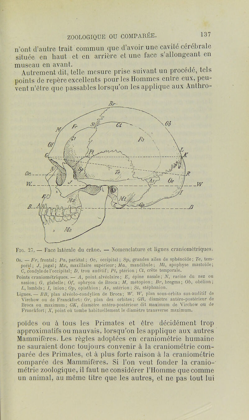 ZOOLOGIQUE OU COMPARÉE. n'ont d’autre Irait commun que d’avoir une cavité cérébrale située en haut et en arrière et une face s’allongeant en museau en avant. Autrement dit, telle mesure prise suivant un procédé, tels points de repère excellents pour les Hommes entre eux, peu- vent n’êlre que passables lorsqu’on les applique aux Anlhro- Fifj. 27. — Face latérale du crâne. — Nomenclature et lignes craniométriques. Os. — Fr, frontal ; Pa, pariétal ; Oc, occipital ; Sp, grandes ailes de sphénoïde ; Te, tem- poral; J, jugal; Mx, maxillaire supérieur; Ma, mandibule; Ml, apophyse mastoïde; C, condyie de l’occipital; D, trou auditif; Pt, ptérion ; Ct, crête temporale. Points craniométriques.— A, point alvéolaire; E, épine nasale; N, racine du nez ou nasion; G, glabelle; Of, ophryon deBroca; M, métopion; Br, bregma; Ob, obélion ; L, lambda; I, inion; Op, opisthion ; As, astérion; St, stéphanion. Lignes.— BB, plan alvéolo-condylien de Broca; W. W, plan sous-orbito sus-auditif de Virchow ou de Franckfort: Or, plan des orbites; GB, diamètre antéro-postérieur de Broca ou maximum; GK, diamètre antéro-postérieur dit maximum do Virchow ou de Franckfort; X, point où tombe habituellement le diamètre transverse maximum. poïdes ou à tous les Primates et être décidément trop approximatifs ou mauvais, lorsqu’on les applique aux autres Mammifères. Les règles adoptées en craniométrie humaine ne sauraient donc toujours convenir à la craniométrie com- parée des Primates, et à plus forte raison à la craniométrie comparée des Mammifères. Si l’on veut fonder la cranio- métrie zoologique, il faut ne considérer l’Homme que comme un animal, au môme Litre que les autres, et ne pas tout lui