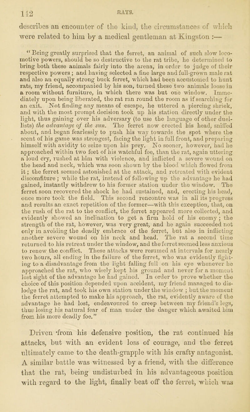 1±2 describes an encounter of the kind, the circumstances of which were related to him by a medical gentleman at Kingston :— u Being greatly surprised that the ferret, an animal of such slow loco- motive powers, should be so destructive to the rat tribe, he determined to bring both these animals fairly into the arena, in order to judge of their respective powers ; and having selected a hue large and full-grown male rat and also an equally strong buck ferret, which had been accustomed to hunt rats, my friend, accompanied by his son, turned these two animals loose in a room without furniture, in which there was but one window. Imme- diately upon being liberated, the rat ran round the room as if searching for an exit. Not finding any means of escape, he uttered a piercing shriek, and with the most prompt decision took up his station directly under the light, thus gaining over his adversary (to use the language of other duel- lists) the advantage of the sun. The ferret now erected his head, sniffed about, and began fearlessly to push his wTay towards the spot where the scent of his game was strongest, facing the light in full front, and preparing himself with avidity to seize upon his prey. No sooner, however, had he approached within two feet of his watchful foe, than the rat, again uttering a loud cry, rushed at him with violence, and inflicted a severe wound on the head and neck, which was soon shown by the blood which flowed from it; the ferret seemed astonished at the attack, and retreated with evident discomfiture ; while the rat, instead of following up the advantage he had gained, instantly withdrew to his former station under the window. The ferret soon recovered the shock he had sustained, and, erecting his head, once more took the field. This second rencontre was in all its progress and results an exact repetition of the former—with this exception, that, on the rush of the rat to the conflict, the ferret appeared more collected, and evidently showed an inclination to get a firm hold of his enemy ; the strength of the rat, however, was very great, and he again succeeded not only in avoiding the deadly embrace of the ferret, but also in inflicting another severe wound on his neck and head. The rat a second time returned to his retreat under the window, and the ferret seemed less anxious to renew the conflict. These attacks were resumed at intervals for nearly two hours, all ending in the failure of the ferret, who was evidently fight- ing to a disadvantage from the light falling full on his eye whenever he approached the rat, who wisely kept his ground and never for a moment lost sight of the advantage he had gained. In order to prove whether the choice of this position depended upon accident, my friend managed to dis- lodge the rat, and took his own station under the window ; but the moment the ferret attempted to make his approach, the rat, evidently aware of the advantage he had lost, endeavoured to creep between my friend’s legs, thus, losing his natural fear of man under the danger which awaited him from his more deadly foe. ” Driven ’from bis defensive position, the rat continued his attacks, but with an evident loss of courage, and the ferret ultimately came to the death-grapple with his crafty antagonist, A similar battle was witnessed by a friend, with the difference that the rat, being undisturbed in his advantageous position with regard to the light, finally beat off the ferret, which was