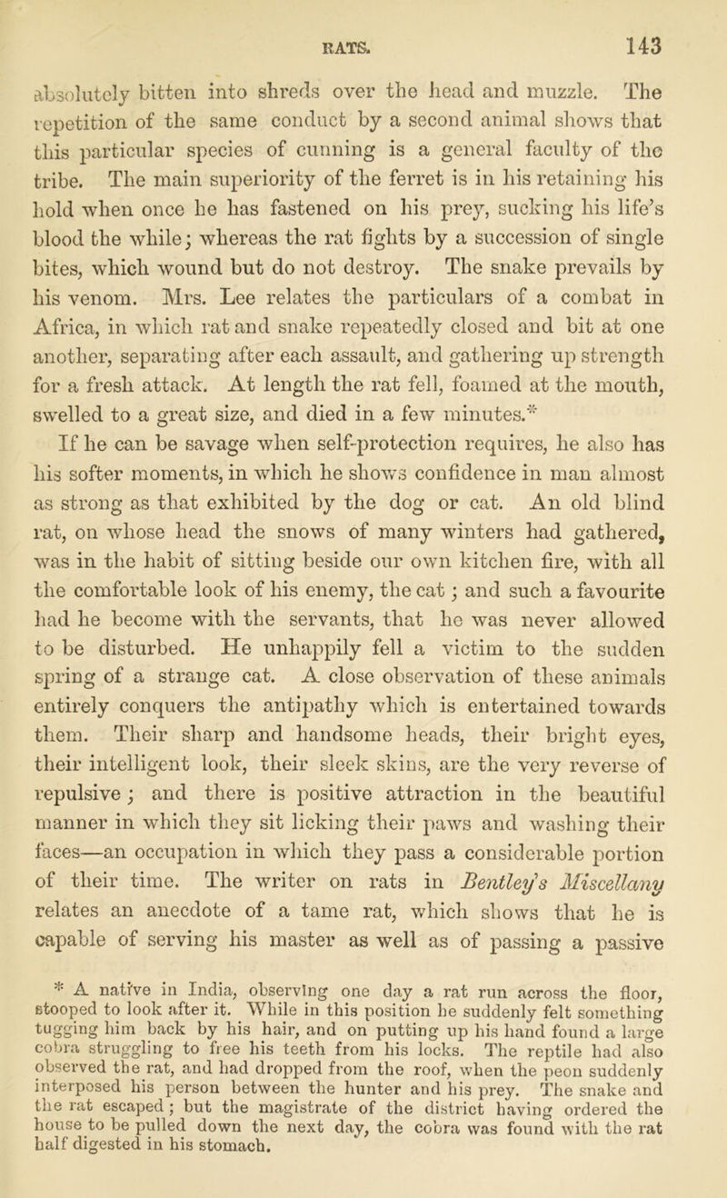 absolutely bitten into shreds over the head and muzzle. The repetition of the same conduct by a second animal shows that this particular species of cunning is a general faculty of the tribe. The main superiority of the ferret is in liis retaining his hold when once he has fastened on his prey, sucking his life’s blood the while; whereas the rat fights by a succession of single bites, which wound but do not destroy. The snake prevails by his venom. Mrs. Lee relates the particulars of a combat in Africa, in which rat and snake repeatedly closed and bit at one another, separating after each assault, and gathering up strength for a fresh attack. At length the rat fell, foamed at the mouth, swelled to a great size, and died in a few minutes.* If he can be savage when self-protection requires, he also has his softer moments, in which he shows confidence in man almost as strong as that exhibited by the dog or cat. An old blind rat, on whose head the snows of many winters had gathered, was in the habit of sitting beside our own kitchen fire, with all the comfortable look of his enemy, the cat; and such a favourite had he become with the servants, that he was never allowed to be disturbed. He unhappily fell a victim to the sudden spring of a strange cat. A close observation of these animals entirely conquers the antipathy which is entertained towards them. Their sharp and handsome heads, their bright eyes, their intelligent look, their sleek skins, are the very reverse of repulsive; and there is positive attraction in the beautiful manner in which they sit licking their paws and washing their faces—an occupation in which they pass a considerable portion of tlieir time. The writer on rats in Bentley's Miscellany relates an anecdote of a tame rat, which shows that he is capable of serving his master as well as of passing a passive * A native in India, observing one day a rat run across the floor, stooped to look after it. While in this position he suddenly felt something tugging him back by his hair, and on putting up his hand found a large cobra struggling to free his teeth from his locks. The reptile had also observed the rat, and had dropped from the roof, when the peon suddenly interposed his person between the hunter and his prey. The snake and the rat escaped ; but the magistrate of the district having ordered the house to be pulled down the next day, the cobra was found with the rat half digested in his stomach.