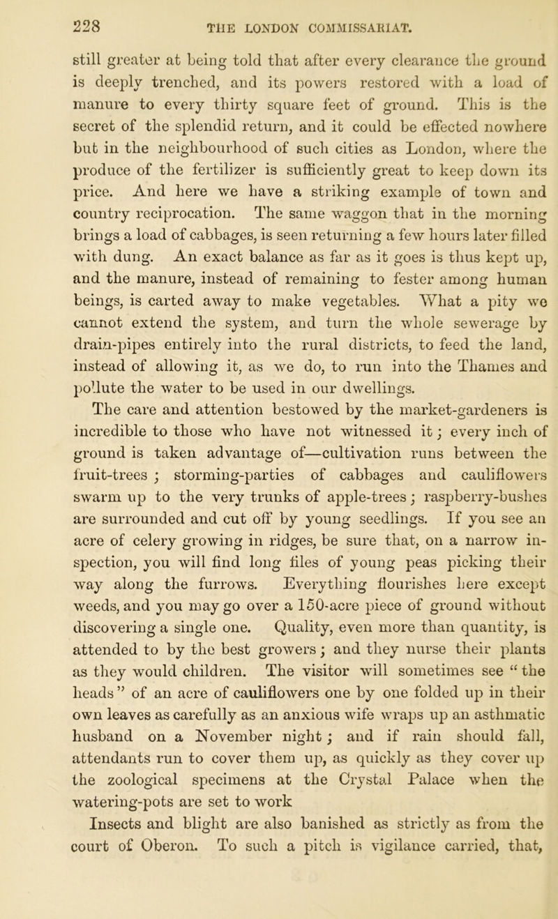 still greater at being told that after every clearance the ground is deeply trenched, and its powers restored with a load of manure to every thirty square feet of ground. This is the secret of the splendid return, and it could be effected nowhere but in the neighbourhood of such cities as London, where the produce of the fertilizer is sufficiently great to keep down its price. And here we have a striking example of town and country reciprocation. The same waggon that in the morning brings a load of cabbages, is seen returning a few hours later filled with dung. An exact balance as far as it goes is thus kept up, and the manure, instead of remaining to fester among human beings, is carted away to make vegetables. What a pity wo cannot extend the system, and turn the whole sewerage by drain-pipes entirely into the rural districts, to feed the land, instead of allowing it, as we do, to run into the Thames and pollute the water to be used in our dwellings. The care and attention bestowed by the market-gardeners is incredible to those who have not witnessed it; every inch of ground is taken advantage of—cultivation runs between the fruit-trees ; storming-parties of cabbages and cauliflowers swarm up to the very trunks of apple-trees; raspberry-bushes are surrounded and cut off by young seedlings. If you see an acre of celery growing in ridges, be sure that, on a narrow in- spection, you will find long files of young peas picking their way along the furrows. Everything flourishes here except weeds, and you may go over a 150-acre piece of ground without discovering a single one. Quality, even more than quantity, is attended to by the best growers; and they nurse their plants as they would children. The visitor will sometimes see “ the heads ” of an acre of cauliflowers one by one folded up in their own leaves as carefully as an anxious wife wraps up an asthmatic husband on a November night; and if rain should fall, attendants run to cover them up, as quickly as they cover up the zoological specimens at the Crystal Palace when the watering-pots are set to work Insects and blight are also banished as strictly as from the court of Oberon. To such a pitch is vigilance carried, that,