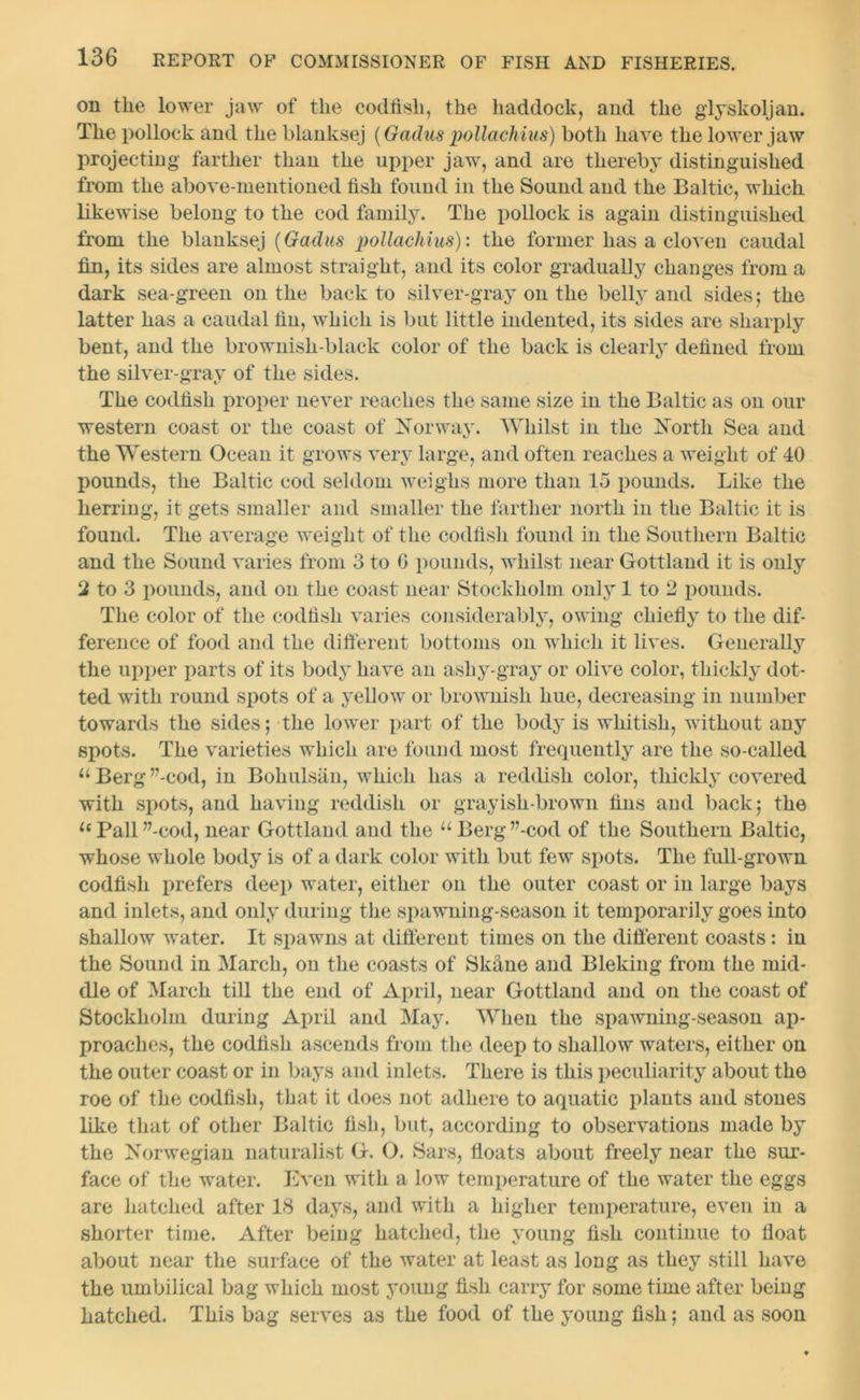 on the lower jaw of the codfish, the haddock, and the glyskoljan. The pollock and the blanksej (Gadus pollachius) both have the lower jaw projecting farther than the upper jaw, and are thereby distinguished from the above-mentioned fish found in the Sound and the Baltic, which likewise belong to the cod family. The pollock is again distinguished from the blanksej (Gadus pollachius): the former has a cloven caudal fin, its sides are almost straight, and its color gradually changes from a dark sea-green on the back to silver-gray on the belly and sides; the latter has a caudal fin, which is but little indented, its sides are sharply bent, and the brownish-black color of the back is clearly defined from the silver-gray of the sides. The codfish proper never reaches the same size in the Baltic as on our western coast or the coast of Norway. Whilst in the North Sea and the Western Ocean it grows very large, and often reaches a weight of 40 pounds, the Baltic cod seldom weighs more than 15 pounds. Like the herring, it gets smaller and smaller the farther north in the Baltic it is found. The average weight of the codfish found in the Southern Baltic and the Sound varies from 3 to G pounds, whilst near Gottland it is only 2 to 3 pounds, and on the coast near Stockholm only 1 to 2 pounds. The color of the codfish varies considerably, owing chiefly to the dif- ference of food and the different bottoms on which it lives. Generally the upper parts of its body have an ashy-gray or olive color, thickly dot- ted with round spots of a yellow or brownish hue, decreasing in number towards the sides; the lower part of the body is whitish, without any spots. The varieties which are found most frequently are the so-called uBerg”-cod, in Bohulsan, which has a reddish color, thickly covered with spots, and having reddish or grayish-brown fins and back; the aPall”-cod, near Gottland and the “Berg”-cod of the Southern Baltic, whose whole body is of a dark color with but few spots. The full-grown codfish prefers deep water, either on the outer coast or in large bays and inlets, and only during the spawning-season it temporarily goes into shallow water. It spawns at different times on the different coasts : in the Sound in March, on the coasts of Skfine and Bleking from the mid- dle of March till the end of April, near Gottland and on the coast of Stockholm during April and May. When the spawning-season ap- proaches, the codfish ascends from the deep to shallow waters, either on the outer coast or in bays and inlets. There is this peculiarity about the roe of the codfish, that it does not adhere to aquatic plants and stones like that of other Baltic fish, but, according to observations made by the Norwegian naturalist G. O. Sars, floats about freely near the sur- face of the water. Even with a low temperature of the water the eggs are hatched after 18 days, and with a higher temperature, even in a shorter time. After being hatched, the young fish continue to float about near the surface of the water at least as long as they still have the umbilical bag which most young fish carry for some time after being hatched. This bag serves as the food of the young fish; and as soon