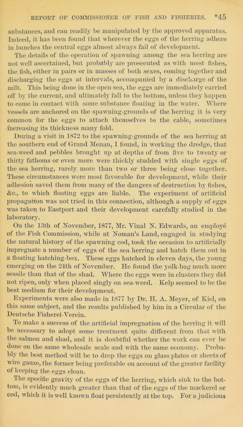 substances, and can readily be manipulated by tlie approved apparatus. Indeed, it has been found that wherever the eggs of the herring adhere iu bunches the central eggs almost always fail of development. The details of the operation of spawning among the sea herring are not well ascertained, but probably are prosecuted as with most fishes, the fish, either in pairs or in masses of both sexes, coming together and discharging the eggs at intervals, accompanied by a discharge of the milt. This being done in the open sea, the eggs are immediately carried off by the current, and ultimately fall to the bottom, unless they happen to come in contact with some substance floating in the water. Where vessels are anchored on the spawning-grounds of the herring it is very common for the eggs to attach themselves to the cable, sometimes •increasing its thickness many fold. During a visit in 1872 to the spawning-grounds of the sea herriug at the southern end of Grand Menan, I found, in working the dredge, that sea-weed and pebbles brought up at depths of from live to twenty or thirty fathoms or even more were thickly studded with single eggs of the sea herring, rarely more than two or three being close together. These circumstances were most favorable for development, while their adhesion saved them from many of the dangers of destruction by fishes, &c., to which floating eggs are liable. The experiment of artificial propagation was not tried in this connection, although a supply of eggs was taken to Eastport and their development carefully studied in the laboratory. On the 13th of November, 1877, Mr. Vinal N. Edwards, an employe of the Fish Commission, while at Noman’s Land, engaged in studying the natural history of the spawning cod, took the occasion to artificially impregnate a number of eggs of the sea herring and hatch them out in a floating hatching-box. These eggs hatched in eleven days, the young emerging on the 24th of November. He found the yolk-bag much more sessile than that of the shad. Where the eggs were in clusters they did not ripen, only when placed singly on sea-weed. Kelp seemed to be the best medium for their development. Experiments were also made in 1877 by Dr. H. A. Meyer, of Kiel, on this same subject, and the results published by him in a Circular of the Deutsche Fisherei-Verein. To make a success of the artificial impregnation of the herring it will be necessary to adopt some treatment quite different from that with the salmon and shad, and it is doubtful whether the work can ever be done on the same wholesale scale and with the same economy. Proba- bly the best method will be to drop the eggs on glass plates or sheets of wire gauze, the former being preferable on account of the greater facility of keeping the eggs clean. The specific gravity of the eggs of the herring, which sink to the bot- tom, is evidently much greater than that of the eggs of the mackerel or cod, which it is well known float persistently at the top. For a judicious