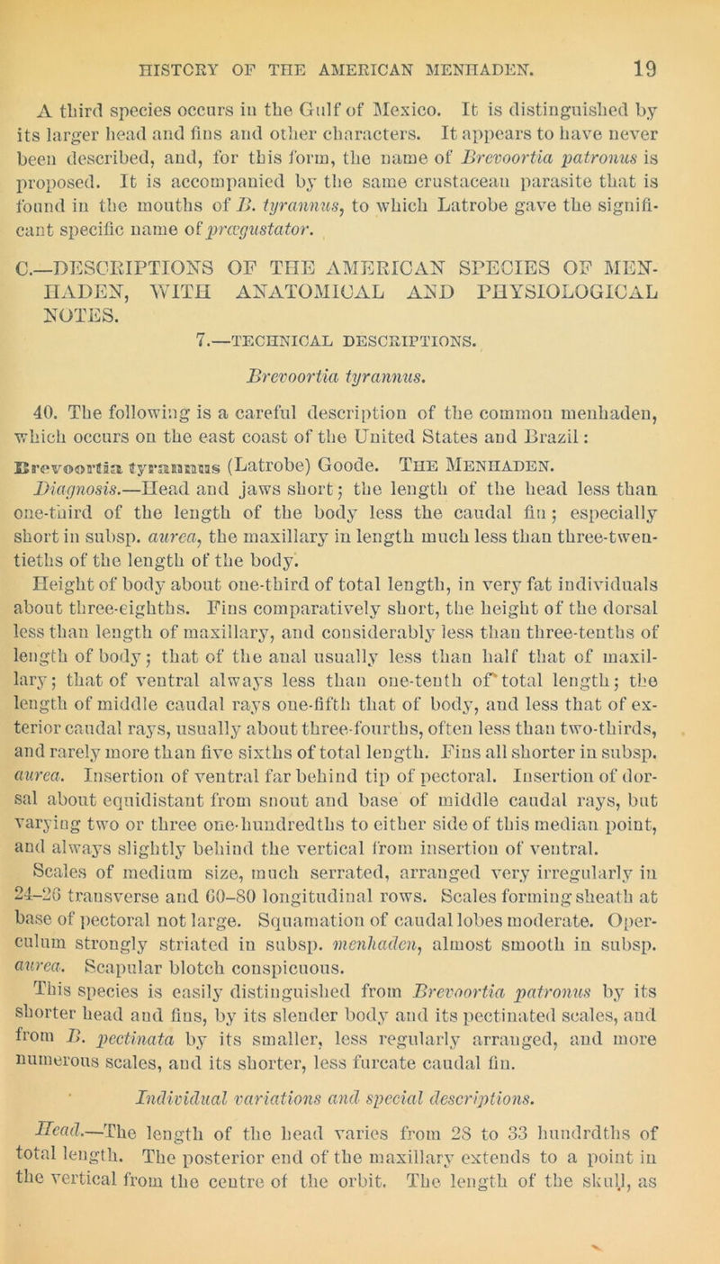 A third species occurs in the Gulf of Mexico. It is distinguished by its larger head and fins and other characters. It appears to have never been described, and, for this form, the name of Brevoortia patronus is proposed. It is accompanied by the same crustacean parasite that is found in the mouths of B. tyrannus, to which Latrobe gave the signifi- cant specific name of prceyustator. C.—DESCRIPTIONS OF THE AMERICAN SPECIES OF MEN- HADEN, WITH ANATOMICAL AND PHYSIOLOGICAL NOTES. 7.—TECHNICAL DESCRIPTIONS. Brevoortia tyrannus. 40. The following is a careful description of the common menhaden, which occurs on the east coast of the United States and Brazil: Brevoortia tyrsansaris (Latrobe) Goode. The Menhaden. Diagnosis.—Head and jaws short; the length of the head less than one-third of the length of the body less the caudal fin ; especially short in subsp. aurea, the maxillary in length much less than three-twen- tieths of the length of the body. Height of body about one-third of total length, in very fat individuals about three-eighths. Fins comparatively short, the height of the dorsal less than length of maxillary, and considerably less than three-tenths of length of body; that of the anal usually less than half that of maxil- lary; that of ventral always less than one-tenth of* total length; the length of middle caudal rays one-fifth that of body, aud less that of ex- terior caudal rays, usually about three-fourths, often less than two-thirds, and rarely more than five sixths of total length. Fins all shorter in subsp. aurea. Insertion of ventral far behind tip of pectoral. Insertion of dor- sal about equidistant from snout and base of middle caudal rays, but varying two or three one-hundredths to either side of this median point, and always slightly behind the vertical from insertion of ventral. Scales of medium size, much serrated, arranged very irregularly in 24-20 transverse and G0-S0 longitudinal rows. Scales forming sheath at base of pectoral not large. Squamation of caudal lobes moderate. Oper- culum strongly striated in subsp. menhaden, almost smooth in subsp. aurea. Scapular blotch conspicuous. This species is easily distinguished from Brevoortia patronus by its shorter head and fins, by its slender body and its pectinated scales, and from B. pectinata by its smaller, less regularly arranged, and more numerous scales, and its shorter, less furcate caudal fin. Individual variations and special descriptions. Head,—The length of the head varies from 2S to 33 luindrdths of total length. The posterior end of the maxillary extends to a point in the vertical from the centre of the orbit. The length of the skull, as