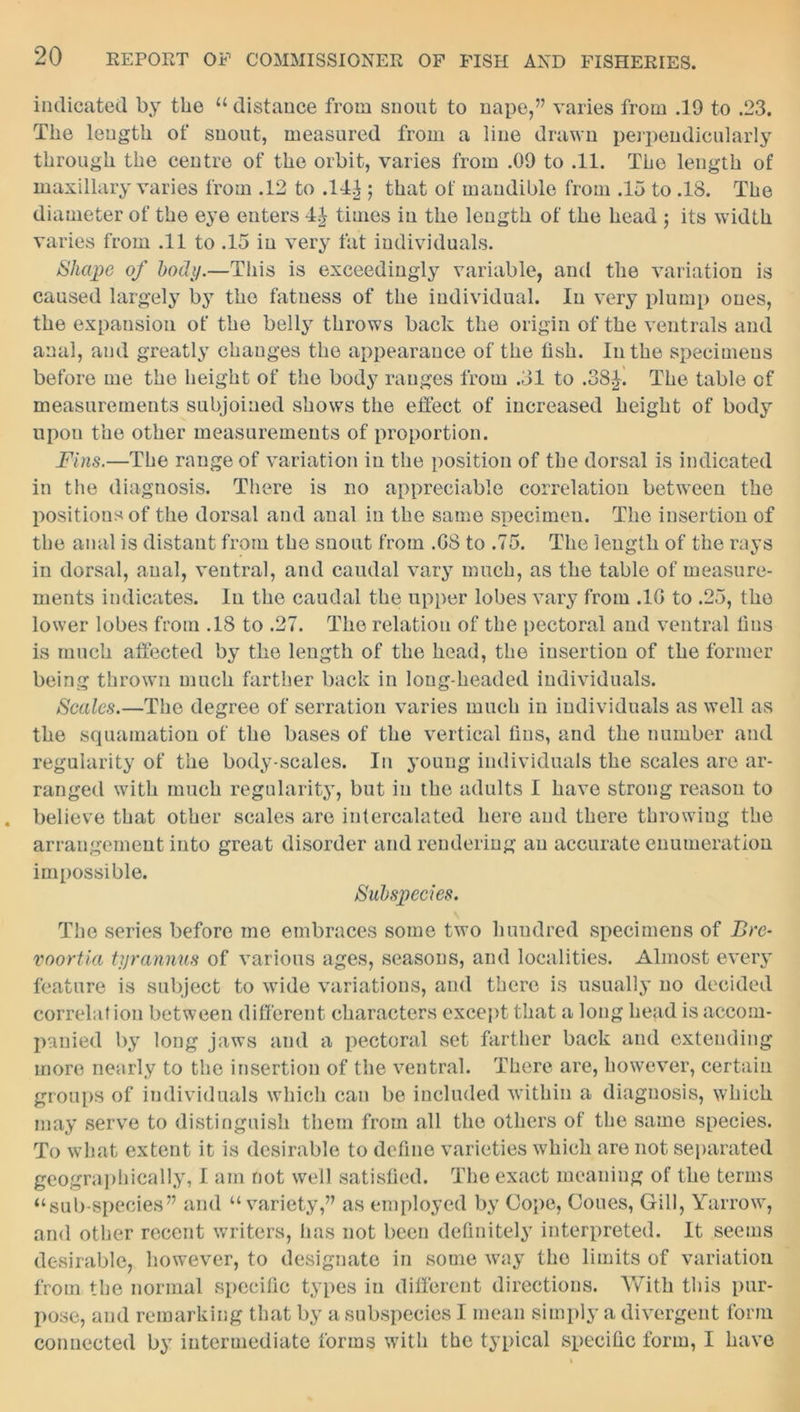 indicated by the “ distance from snout to nape,” varies from .19 to .23. The length of snout, measured from a line drawn perpendicularly through the centre of the orbit, varies from .09 to .11. The length of maxillary varies from .12 to .14| j that of mandible from .15 to .18. The diameter of the eye enters 4.} times in the length of the head ; its width varies from .11 to .15 in very fat individuals. Shape of body.—This is exceedingly variable, and the variation is caused largely by the fatness of the individual. In very plump ones, the expansion of the belly throws back the origin of the ventrals and anal, and greatly changes the appearance of the fish. In the specimens before me the height of the body ranges from .31 to .38£. The table of measurements subjoined shows the effect of increased height of body upon the other measurements of proportion. Fins.—The range of variation in the position of the dorsal is indicated in the diagnosis. There is no appreciable correlation between the positions of the dorsal and anal in the same specimen. The insertion of the anal is distant from the snout from .08 to .75. The length of the rays in dorsal, anal, ventral, and caudal vary much, as the table of measure- ments indicates. In the caudal the upper lobes vary from .10 to .25, the lower lobes from .18 to .27. The relation of the pectoral and ventral tins is much affected by the length of the head, the insertion of the former being thrown much farther back in long-headed individuals. Scales.—The degree of serration varies much in individuals as well as the squamatiou of the bases of the vertical fins, and the number and regularity of the body-scales. In young individuals the scales are ar- ranged with much regularity, but in the adults I have strong reason to believe that other scales are intercalated here and there throwing the arrangement into great disorder and rendering an accurate enumeration impossible. Subspecies. The series before me embraces some two hundred specimens of Bre- voortia tyrannies of various ages, seasons, and localities. Almost every feature is subject to wide variations, and there is usually no decided correlation between different characters except that a long head is accom- panied by long jaws and a pectoral set farther back and extending more nearly to the insertion of the ventral. There are, however, certain groups of individuals which can be included within a diagnosis, which may serve to distinguish them from all the others of the same species. To what extent it is desirable to define varieties which are not separated geographically, I am not well satisfied. The exact meaning of the terms “sub species” and “variety,” as employed by Cope, Cones, Gill, Yarrow, and other recent writers, has not been definitely interpreted. It seems desirable, however, to designate in some way the limits of variation from the normal specific types in different directions. With this pur- pose, and remarking that by a subspecies I mean simply a divergent form connected by intermediate forms with the typical specific form, I have
