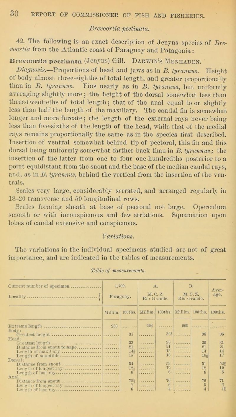 Brevoortia pectinata. 42. The following is an exact description of Jenyns species of Bre- voortia from the Atlantic coast of Paraguay and Patagonia: Brevoortia pectinata (Jenyns) Gill. Darwin’s Menhaden. Diagnosis.—Proportions of head and jaws as in B. tyrannus. Height of body almost three-eighths of total length, and greater proportionally than in B. tyrannus. Pins nearly as in B. tyrannus, but uniformly averaging slightly more; the height of the dorsal somewhat less than three-twentieths of total length; that of the anal equal to or slightly less than half the length of the maxillary. The caudal fin is somewhat longer and more furcate; the length of the external rays never being less than five-sixths of the length of the head, while that of the medial rays remains proportionally the same as in the species first described. Insertion of ventral somew hat behind tip of pectoral, this fin and this dorsal being uniformly somewhat farther back than in B. tyrannus; the insertion of the latter from one to four one-hundredths posterior to a point equidistant from the snout and the base of the median caudal rays, and, as in B. tyrannus, behind the vertical from the insertion of the ven- tral s. Scales very large, considerably serrated, and arranged regularly in 18-20 transverse and 50 longitudinal rows. Scales forming sheath at base of pectoral not large. Operculum smooth or with inconspicuous and few7 striatious. Squamatiou upon lobes of caudal extensive and conspicuous. Variations. The variations in the individual specimens studied arc not of great importance, and are indicated in the tables of measurements. Table of measurements. Current number of specimen 1.7 00. A. B. Locality ^ Paraguay. XI. c. z. Rio Grande. M. C. Z. Rio Grande. Aver- age. Millim. lOOtbs. Millim. lOOtbs. Millim. lOOtbs. lOOtbs. 250 224 200 Body: Greatest height ....... 33 3(U 30 36 36 Head: Greatest length 33 30 31 TJiatnnoo from snont, to nape 21 21 21 14 21 T.pTvfli fit’ inn xil Inry Mi 18 13 14 T.oncrf.li fit’ mandible. 16 l(ij 51 17 Dorsal: l)i«tnnee from snont 54 53 52$ 7 a*nrrf h of InnTftflfi rflV 12$ 12 12 12 T.nnrrtli nf 1 nflf, rnv 0“ 6 6 6 Anal: 70i 7 70 72 71 6 5 6 Length of last ray 0 4 4 n