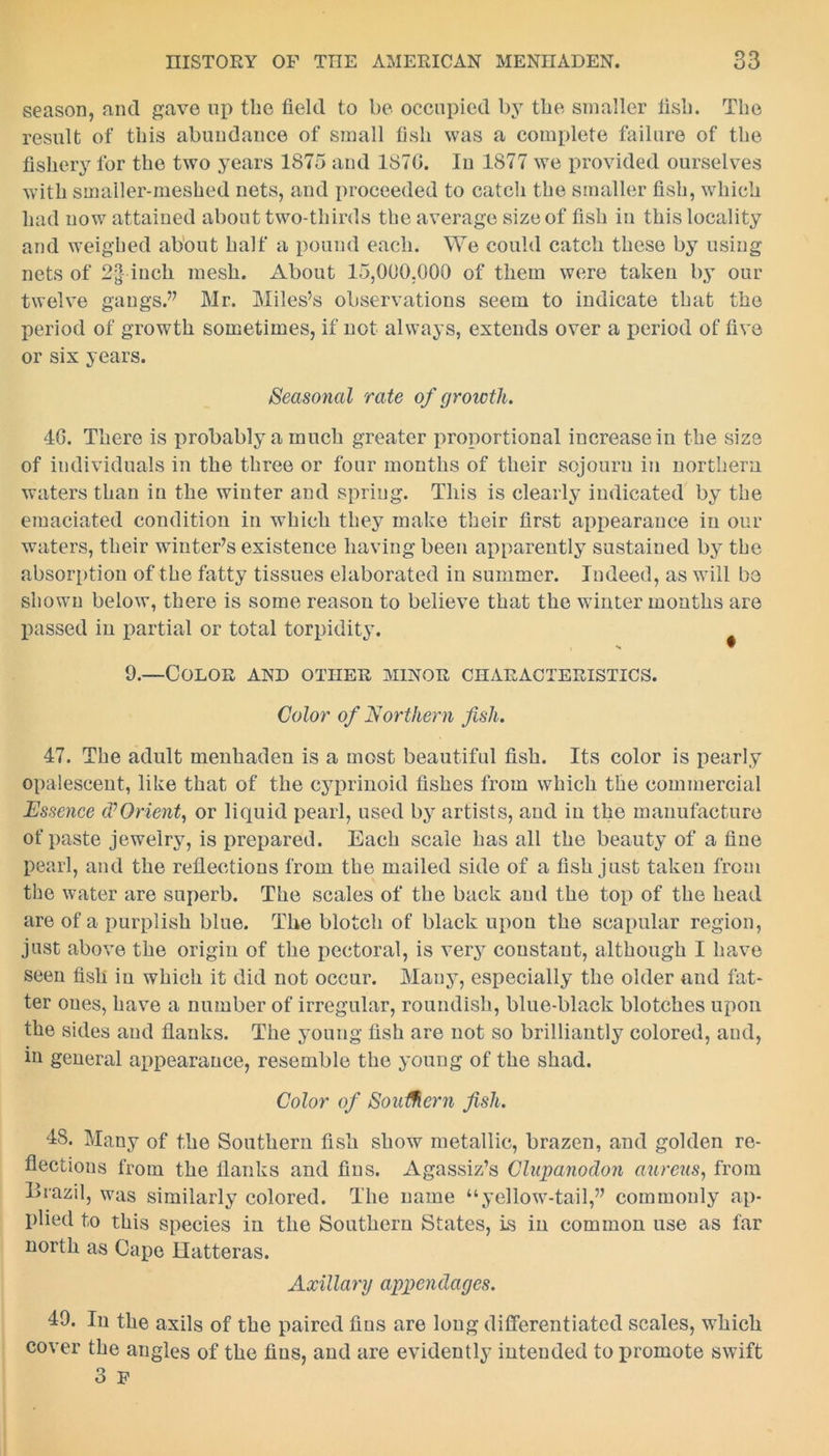 season, and gave up the field to be occupied by the smaller fish. The result of this abundance of small fish was a complete failure of the fishery for the two years 1875 and 1870. In 1877 we provided ourselves with smailer-meshed nets, and proceeded to catch the smaller fish, which had now attained about two-thirds the average size of fish in this locality and weighed about half a pound each. We could catch these by using nets of 2§ inch mesh. About 15,000.000 of them were taken by our twelve gangs.” Mr. Miles’s observations seem to indicate that the period of growth sometimes, if not always, extends over a period of five or six years. Seasonal rate of growth. 4G. There is probably a much greater proportional increase in the size of individuals in the three or four months of their sojourn in northern waters than in the winter and spring. This is clearly indicated by the emaciated condition in which they make their first appearance in our waters, their winter’s existence having been apparently sustained by the absorption of the fatty tissues elaborated in summer. Indeed, as will be shown below, there is some reason to believe that the winter months are passed in partial or total torpidity. s ™ 9.—Color and other minor characteristics. Color of Northern fish. 47. The adult menhaden is a most beautiful fish. Its color is pearly opalescent, like that of the cyprinoid fishes from which the commercial Essence $ Orient, or liquid pearl, used by artists, and in the manufacture of paste jewelry, is prepared. Each scale has all the beauty of a fine pearl, and the reflections from the mailed side of a fish just taken from the water are superb. The scales of the back and the top of the head are of a purplish blue. The blotch of black upon the scapular region, just above the origin of the pectoral, is very constant, although I have seen fish in which it did not occur. Many, especially the older and fat- ter ones, have a number of irregular, roundish, blue-black blotches upon the sides and flanks. The young fish are not so brilliantly colored, and, in general appearance, resemble the 3’oung of the shad. Color of Southern fish. 48. Many of the Southern fish show metallic, brazen, and golden re- flections from the flanks and fins. Agassiz’s Clupanodon aureus, from Brazil, was similarly colored. The name “yellow-tail,” commonly ap- plied to this species in the Southern States, is in common use as far north as Cape llatteras. Axillary appendages. 49. In the axils of the paired fins are long differentiated scales, which cover the angles of the fins, and are evidently intended to promote swift 3 f