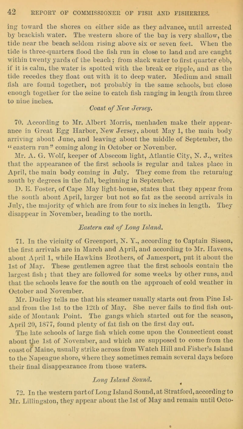 ing toward the shores on either side as they advance, until arrested by brackish water. The western shore of the bay is very shallow, the tide near the beach seldom rising above six or seven feet. When the tide is three-quarters liood the fish run in close to land and are caught within twenty yards of the beach ; from slack water to first quarter ebb, if it is calm, the water is spotted with the break or ripple, and as the tide recedes they float out with it to deep water. Medium and small fish are found together, not probably in the same schools, but close enough together for the seine to catch fish ranging in length from three to nine inches. Coast of New Jersey. 70. According to Mr. Albert Morris, menhaden make their appear- ance in Great Egg Harbor, New Jersey, about May 1, the main body arriving about June, and leaving about the middle of September, the u eastern run” coming along in October or November. Mr. x\. G. Wolf, keeper of Absecom light, Atlantic City, N. J., writes that the appearance of the first schools is regular and takes place in April, the main body coming in July. They come from the returning south by degrees in the fall, beginning in September. D. E. Foster, of Cape May light house, states that they appear from the south about April, larger but not so fat as the second arrivals in July, the majority of which are from four to six inches in length. They disappear in November, heading to the north. Eastern end of Long Island. 71. In the vicinity of Grcenport, N. Y., according to Captain Sisson, the first arrivals are in March and April, and according to Mr. Havens, about April 1, while Hawkins Brothers, of Jamesport, put it about the 1st of May. These gentlemen agree that the first schools contain the largest fish ; that they are followed for some weeks by other runs, and that the schools leave for the south on the approach of cold weather in October and November. Mr. Dudley tells me that his steamer usually starts out from Pine Isl- and from the 1st to the 12th of May. She never fails to find fish out- side of Montauk Point. The gangs which started out for the season, April 20, 1877, found plenty of fat fish on the first day out. The late schools of large fish which come upon the Connecticut coast about tjie 1st of November, and which are supposed to come from the coast of Maine, usually strike across from Watch Hill and Fisher’s Island to the Napeague shore, where they sometimes remain several days before their final disappearance from those waters. Long Island Sound. 72. In the western partof Long Island Sound, at Stratford, according to Mr. Lillingston, they appear about the 1st of May and remain until Octo-