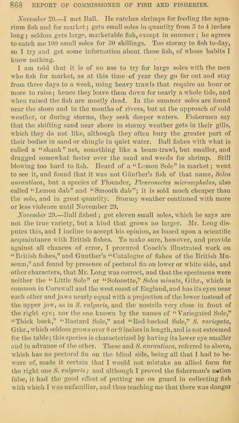 November 20.—I met Ball. He catches shrimps for feeding the aqua- rium fish and for market; gets small soles in quantity from 3 to 4 inches long; seldom gets large, marketable fish,except in summer; he agrees to catch me 100 small soles for 30 shillings. Too stormy to fish to-day, so I try and get some information about these fish, of whose habits I know nothing. I am told that it is of no use to try for large soles with the men wbo fish for market, as at this time of year they go far out and stay from three days to a week, using heavy trawls that require an hour or more to raise; hence they leave them down for nearly a whole tide, and when raised the fish are mostly dead. In the summer soles are found near the shore and in the mouths of rivers, but at the approach of cold weather, or during storms, they’ seek deeper waters. Fishermen say that the shifting sand near shore in stormy weather gets in their gills, which they do not like, although they often bury the greater part of their bodies in sand or shingle in quiet water. Ball fishes with what is called a “shank” net, something like a beam-trawl, but smaller, and dragged somewhat faster over the sand and weeds for shrimp. Still blowing too hard to fish. Ileard of a “Lemon Sole” in market; went to see it, and found that it was not Gunther’s fish of that name, Solea aurantiaca, but a species of Flounder, Tleuronectes microcephalies, also called “Lemon dab” and “Smooth dab”; it is sold much cheaper than the sole, and in great quantity. Stormy weather continued with more or less violence until November 29. November 29.—Ball fished ; got eleven small soles, which he says are not the true variety, but a kind that grows no larger. Mr. Long dis- putes this, and I incline to accept his opinion, as based upon a scientific acquaintance with British fishes. To make sure, however, and provide against all chances of error, I procured Couch’s illustrated work on “British fishes,” and Gunther’s “Catalogue of fishes of the British Mu- seum,” and found by presence of pectoral fin on lower or white side, and other characters, that Mr. Long was correct, and that the specimens were neither the “Little Sole” or “Solonette,” Solea minuta, Gthr., which is common in Cornwall and the west coast of England, and has its eyes near each other and jaws nearly equal with a projection of the lower instead of the upper jaw, as in S. vulgaris, and the nostrils very close in front of the right eye; nor the one known by the names of “Variegated Sole,” “Thick back,” “Bastard Sole,” and “Red-backed Sole,” S. variegata, Gthr., which seldom grows over 8 or 9 inches in length, and is not esteemed for the table; this species is characterized by having its lower eye smaller and in advance of the other. These and S. aurantiaca, referred to above, which has no pectoral fin on the blind side, being all that I had to be- ware of, made it certain that I would not mistake an allied form for the right one S. vulgaris; and although I proved the fisherman’s nation false, it had the good effect of putting me on guard in collecting fish with which I was unfamiliar, and thus teaching me that there was danger