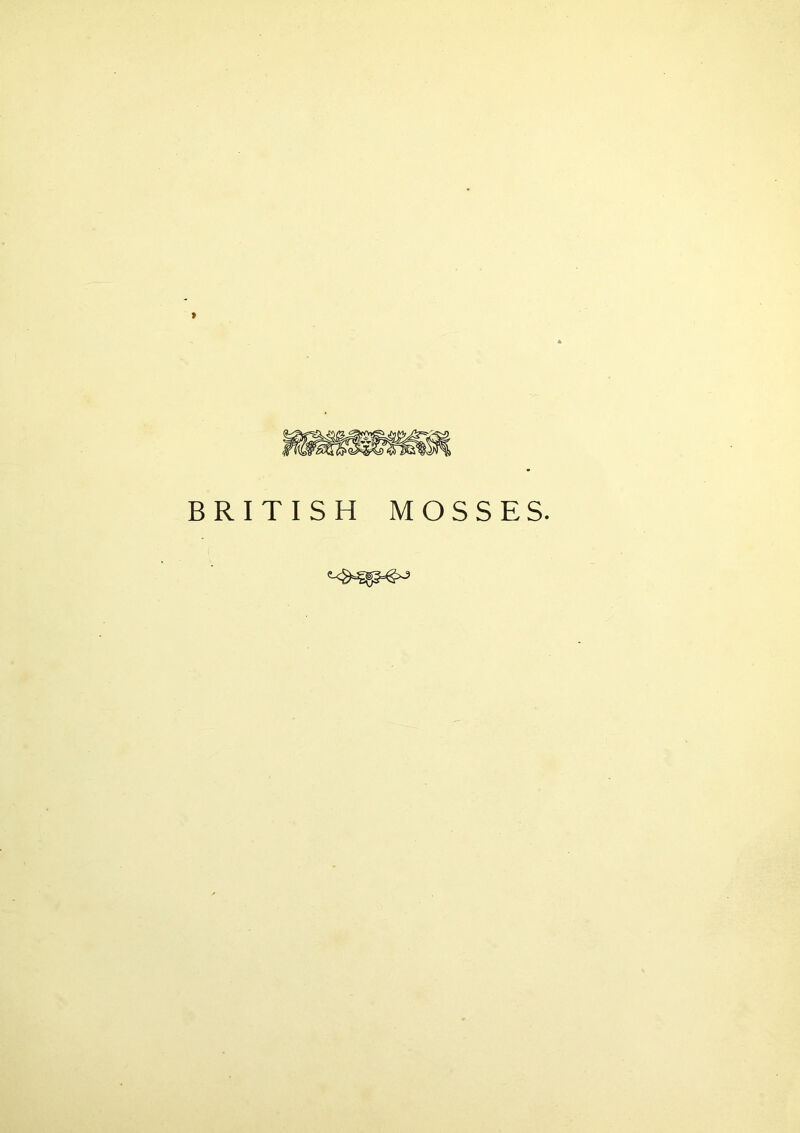 BRITISH MOSSES.