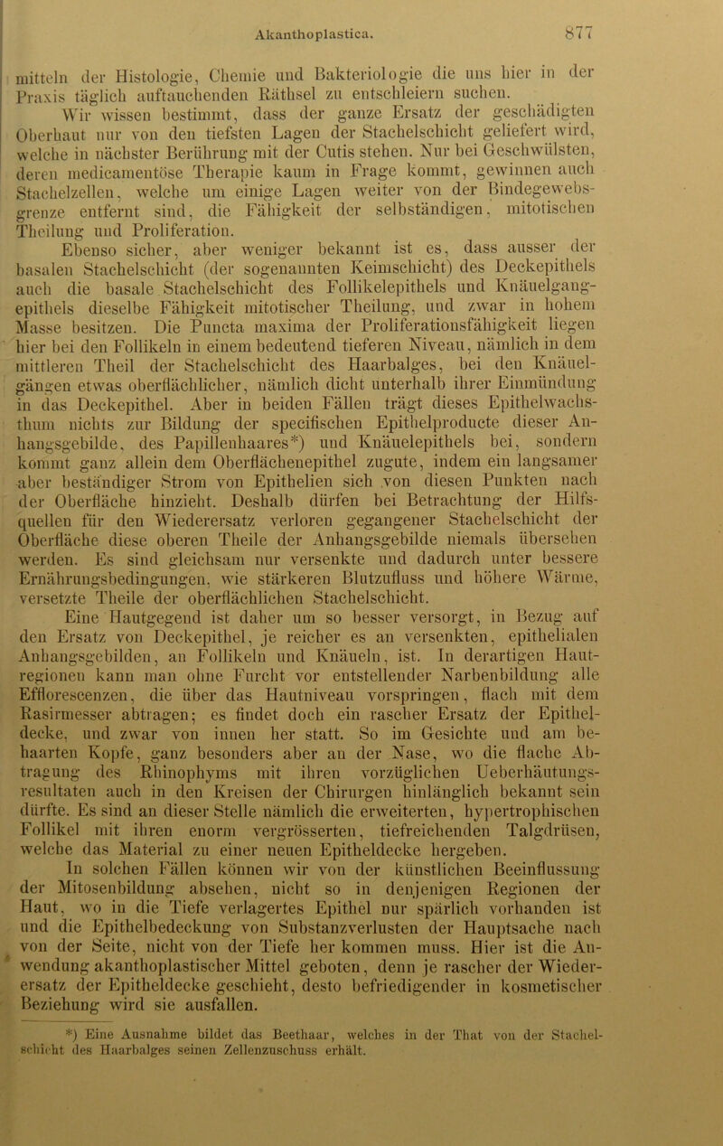 ! mittein der Histologie, Chemie und Bakteriologie die uns hier in der Praxis täglich auftauchenden Räthsel zu entschleiern suchen. Wir wissen bestimmt, dass der ganze Ersatz der geschädigten Oberhaut nur von den tiefsten Lagen der Stachelschicht geliefert wird, welche in nächster Berührung mit der Cutis stehen. Nur bei Geschwülsten, deren medicamentöse Therapie kaum in Frage kommt, gewinnen auch Stachelzellen, welche um einige Lagen weiter von der Bindegewebs- grenze entfernt sind, die Fähigkeit der selbständigen, mitotischen Theilung und Proliferation. Ebenso sicher, aber weniger bekannt ist es, dass ausser der basalen Stachelschicht (der sogenannten Keimschicht) des Deckepithels auch die basale Stachelschicht des Follikelepithels und Knäuelgang- epithels dieselbe Fähigkeit mitotischer Theilung, und zwar in hohem Masse besitzen. Die Puncta maxima der Proliferationsfähigkeit liegen hier bei den Follikeln in einem bedeutend tieferen Niveau, nämlich in dem mittleren Theil der Stachelschicht des Haarbalges, bei den Knäuel- gängen etwas oberflächlicher, nämlich dicht unterhalb ihrer Einmündung in das Deckepithel. Aber in beiden Fällen trägt dieses Epithelwachs- tlium nichts zur Bildung der specifischen Epithelproducte dieser An- hangsgebilde, des Papillenhaares*) und Knäuelepithels bei, sondern kommt ganz allein dem Oberflächenepithel zugute, indem ein langsamer aber beständiger Strom von Epithelien sich .von diesen Punkten nach der Oberfläche hinzieht. Deshalb dürfen bei Betrachtung der Hilfs- quellen für den Wiederersatz verloren gegangener Stachelschicht der Oberfläche diese oberen Theile der x4nhangsgebilde niemals übersehen werden. Es sind gleichsam nur versenkte und dadurch unter bessere Ernährungsbedingungen, wie stärkeren Blutzufluss und höhere Wärme, versetzte Theile der oberflächlichen Stachelschicht. Eine Hautgegend ist daher um so besser versorgt, in Bezug auf den Ersatz von Deckepithel, je reicher es an versenkten, epithelialen Anhangsgebilden, an Follikeln und Knäueln, ist. In derartigen Haut- reg'ionen kann man ohne Furcht vor entstellender Narbenbildung alle Efflorescenzen, die über das Hautniveau vorspringen, flach mit dem Rasirmesser abtragen; es findet doch ein rascher Ersatz der Epithel- decke, und zwar von innen her statt. So im Gesichte und am be- haarten Kopfe, ganz besonders aber an der Nase, wo die flache Ab- tragung des Rhinophyms mit ihren vorzüglichen Ueberhäutungs- resultaten auch in den Kreisen der Chirurgen hinlänglich bekannt sein dürfte. Es sind an dieser Stelle nämlich die erweiterten, hypertrophischen Follikel mit ihren enorm vergrösserten, tiefreichenden Talgdrüsen, welche das Material zu einer neuen Epitheldecke hergeben. In solchen Fällen können wir von der künstlichen Beeinflussung der Mitosenbildung absehen, nicht so in denjenigen Regionen der Haut, wo in die Tiefe verlagertes Epithel nur spärlich vorhanden ist und die Epithelbedeckung von Substanzverlusten der Hauptsache nach von der Seite, nicht von der Tiefe her kommen muss. Hier ist die An- wendung akanthoplastischer Mittel geboten, denn je rascher der Wieder- ersatz der Epitheldecke geschieht, desto befriedigender in kosmetischer Beziehung wird sie ausfallen. *) Eine Ausnahme bildet das Beethaar, welches in der That von der Staehel- schicht des Haarbalges seinen Zellenzuschuss erhält.