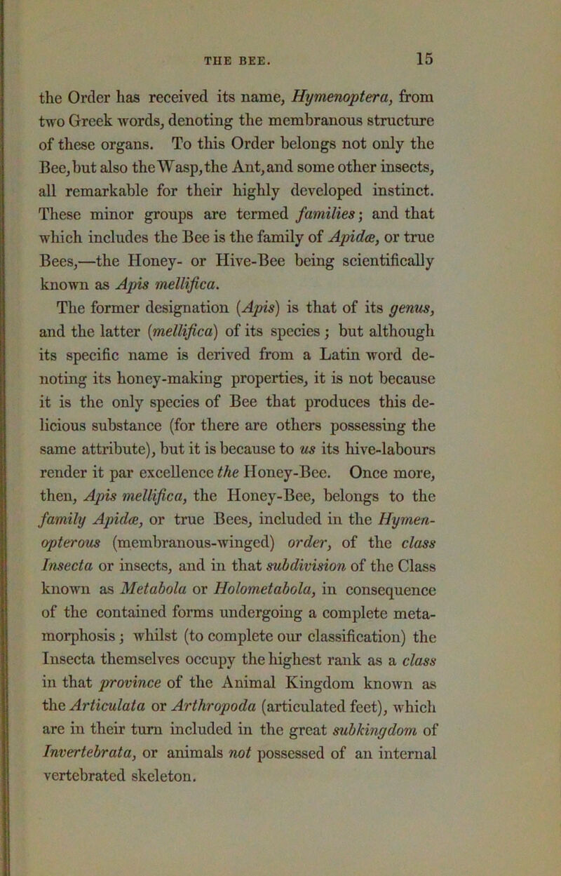 the Order has received its name, Hymenoptera, from two Greek words, denoting the membranous structure of these organs. To this Order belongs not only the Bee, but also the Wasp, the Ant, and some other insects, ail remarkable for their highly developed instinct. These minor groups are termed families; and that which includes the Bee is the family of Apid<B, or true Bees,—the Honey- or Hive-Bee being scientifically known as Apis mellifica. The former designation (Apis) is that of its genus, and the latter (mellifica) of its species; but although its specific name is derived from a Latin word de- noting its honey-making properties, it is not because it is the only species of Bee that produces this de- licious substance (for there are others possessing the same attribute), but it is because to us its hive-labours render it par excellence the Honey-Bee. Once more, then. Apis mellifica, the Honey-Bee, belongs to the family Apidce, or true Bees, included in the Hymen- opterous (membranous-winged) order, of the class Insecta or insects, and in that subdivision of the Class known as Metabola or Holometabola, in consequence of the contained forms undergoing a complete meta- morphosis ; whilst (to complete our classification) the Insecta themselves occupy the highest rank as a class in that province of the Animal Kingdom known as the Articulata or Arthropoda (articulated feet), which are in their turn included in the great subkingdom of Invertebrata, or animals not possessed of an internal vertebrated skeleton.