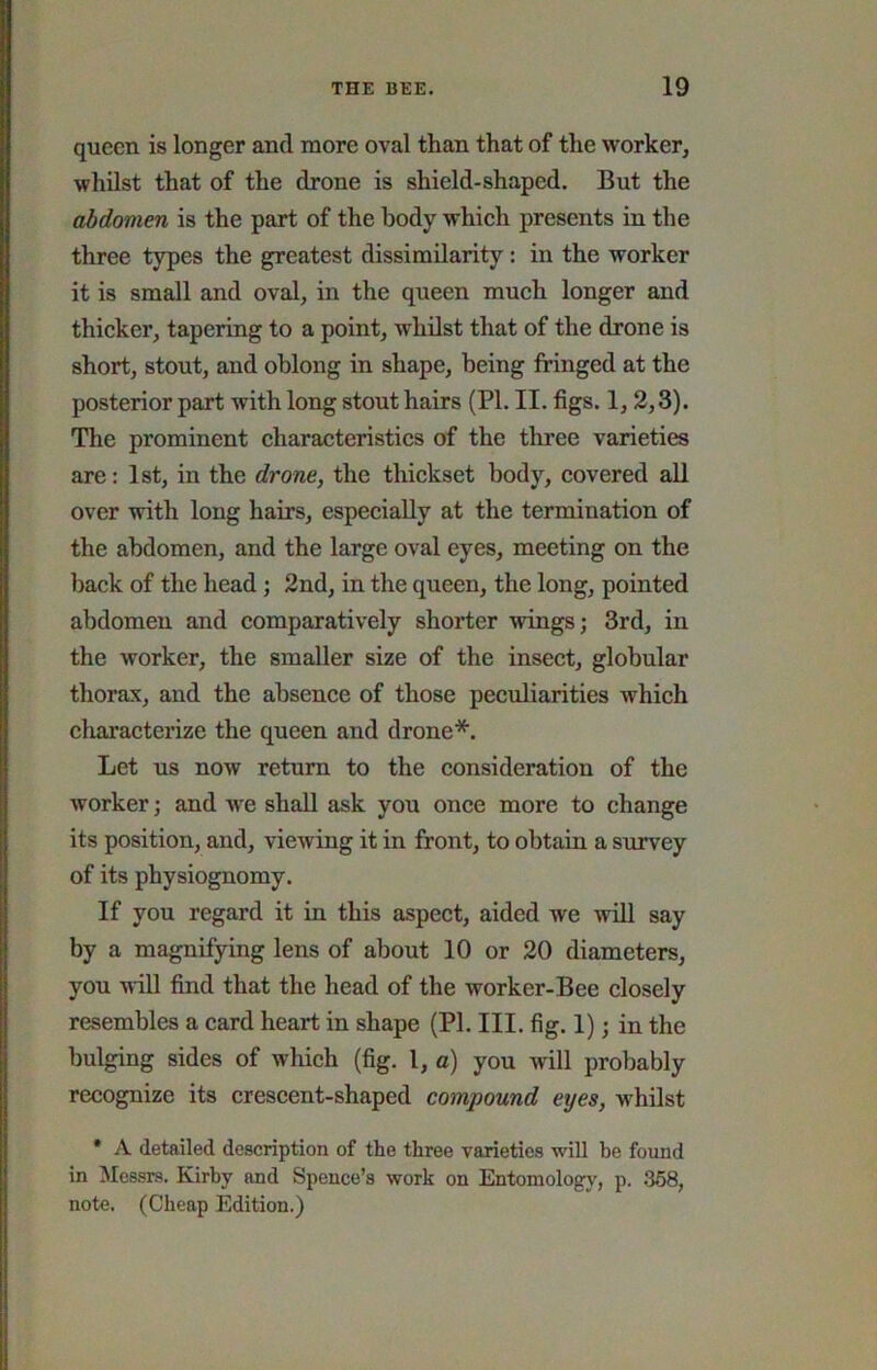 queen is longer and more oval than that of the worker, whilst that of the drone is shield-shaped. But the abdomen is the part of the body which presents in the three types the greatest dissimilarity : in the worker it is small and oval, in the queen much longer and thicker, tapering to a point, whilst that of the drone is short, stout, and oblong in shape, being fringed at the posterior part with long stout hairs (PI. II. figs. 1,2,3). The prominent characteristics of the tliree varieties are: 1st, in the drone, the thickset body, covered all over with long hairs, especially at the termination of the abdomen, and the large oval eyes, meeting on the back of the head j 2nd, in the queen, the long, pointed abdomen and comparatively shorter wings; 3rd, in the worker, the smaller size of the insect, globular thorax, and the absence of those peculiarities which characterize the queen and drone*. Let us now return to the consideration of the worker; and we shall ask you once more to change its position, and, viewing it in front, to obtain a survey of its physiognomy. If you regard it in this aspect, aided we will say by a magnifying lens of about 10 or 20 diameters, you will find that the head of the worker-Bee closely resembles a card heart in shape (PI. III. fig. 1); in the bulging sides of which (fig. I, a) you will probably recognize its crescent-shaped compound eyes, whilst • A detailed description of the three varieties will be found in Messrs. Kirby and Spence’s work on Entomology, p. 358, note, (Cheap Edition.)