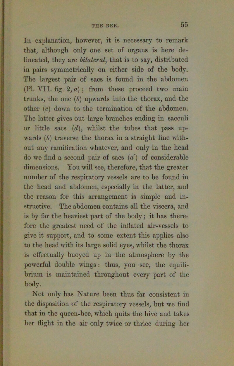 In explanation, however, it is necessary to remark that, although only one set of organs is here de- lineated, they are bilateral, that is to say, distributed in pairs symmetrically on either side of the body. The largest pair of sacs is found in the abdomen (PI. VII. fig. 2, a) j from these proceed two main trunks, the one (i) upwards into the thorax, and the other (c) down to the termination of the abdomen. The latter gives out large branches ending in sacculi or little sacs (c?), whilst the tubes that pass up- wards (b) traverse the thorax in a straight line with- out auy ramification whatever, and only in the head do we find a second pair of sacs (a') of considerable dimensions. You will see, therefore, that the greater number of the respiratory vessels are to be found in the head and abdomen, especially in the latter, and the reason for this arrangement is simple and in- structive. The abdomen contains all the viscera, and is by far the heaviest part of the body; it has there- fore the greatest need of the inflated air-vessels to give it support, and to some extent this applies also to the head with its large solid eyes, whilst the thorax is effectually buoyed up in the atmosphere by the powerful double wungs : thus, you see, the equili- brium is maintained throughout every part of the body. Not only has Nature been thus far consistent in the disposition of the respiratory vessels, but we find that in the queen-bee, which quits the liive and takes her flight in the air only tw'ice or thrice during her