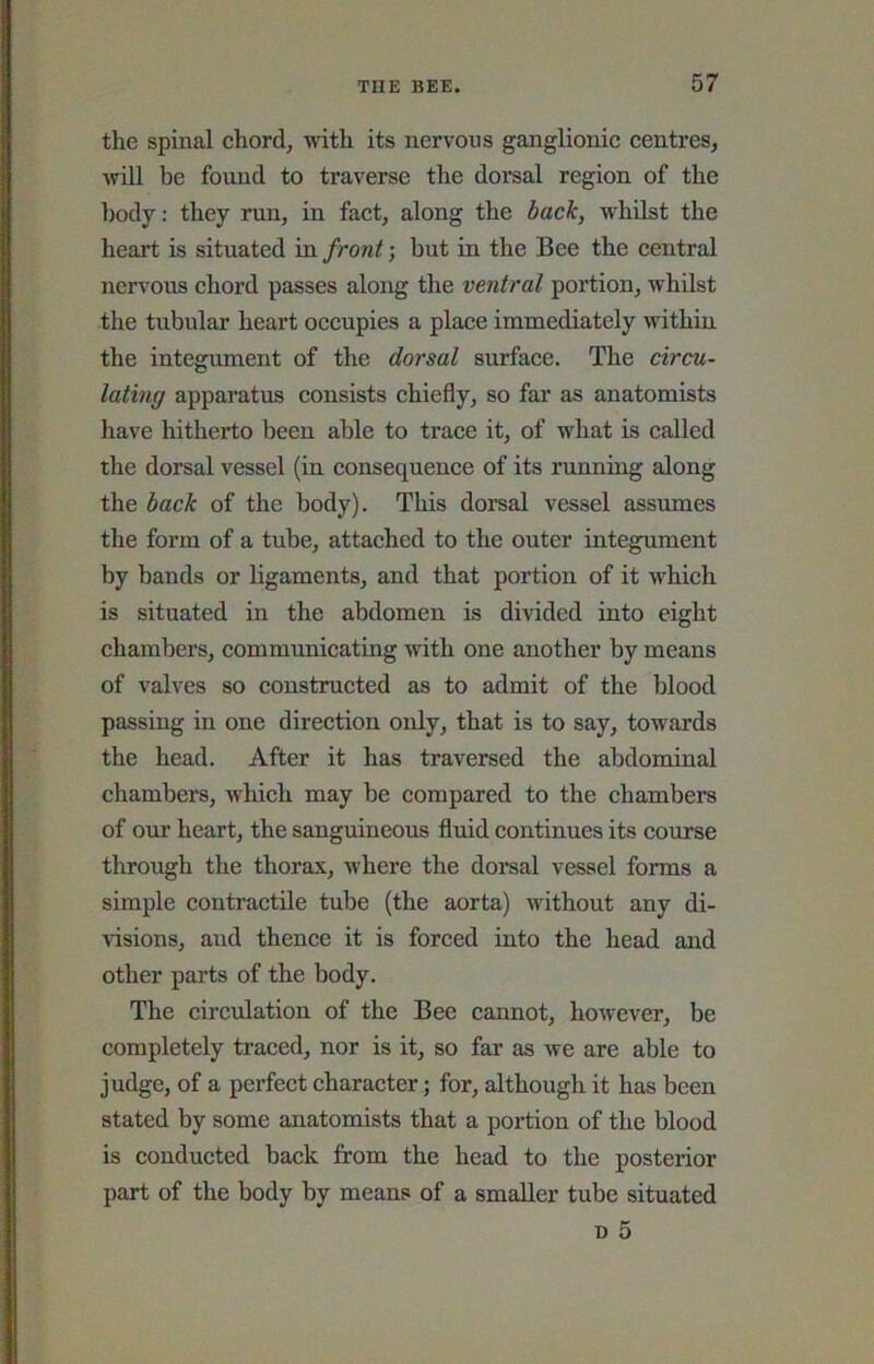 the spinal chord, with its nervous ganglionic centres, will be found to traverse the dorsal region of the body: they run, in fact, along the back, whilst the heart is situated in front; but in the Bee the central nervous chord passes along the ventral portion, whilst the tubular heart occupies a place immediately within the integument of the dorsal surface. The circu- latiny apparatus consists chiefly, so far as anatomists have hitherto been able to trace it, of what is called the dorsal vessel (in consequence of its running along the back of the body). This dorsal vessel assumes the form of a tube, attached to the outer integument by bands or ligaments, and that portion of it which is situated in the abdomen is divided into eight chambers, communicating with one another by means of valves so constructed as to admit of the blood passing in one direction only, that is to say, towards the head. After it has traversed the abdominal chambers, which may be compared to the chambers of our heart, the sanguineous fluid continues its course through the thorax, where the doi*sal vessel forms a simple contractile tube (the aorta) without any di- visions, and thence it is forced into the head and other parts of the body. The circulation of the Bee cannot, however, be completely traced, nor is it, so far as Ave are able to judge, of a perfect character; for, although it has been stated by some anatomists that a portion of the blood is conducted back from the head to the posterior part of the body by means of a smaller tube situated