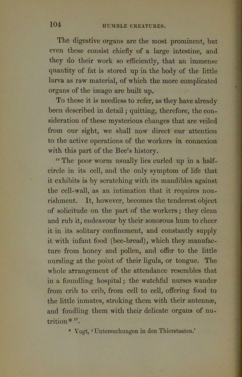 The digestive organs are the most prominent, but even these consist chiefly of a large intestine, and they do their work so efficiently, that an immense (}uantity of fat is stored up in the body of the little larva as raw material, of which the more complicated organs of the imago are built up. To these it is needless to refer, as they have already been described in detail; quitting, therefore, the con- sideration of these mysterious changes that are veiled from our sight, we shall now direct our attention to the active operations of the workers in connexion with this part of the Bee’s history. “ The poor worm usually lies curled up in a half- circle in its ceU, and the only symptom of life that it exhibits is by scratching with its mandibles against the cell-wall, as an intimation that it requires nou- rishment. It, however, becomes the tenderest object of solicitude on the part of the workers; they clean and rub it, endeavour by their sonorous hum to cheer it in its solitary confinement, and constantly supply it -with infant food (bee-bread), which they manufac- ture from honey and pollen, and offer to the little nursling at the point of their ligula, or tongue. The whole arrangement of the attendance resembles that in a foundling hospital; the watchftd nurses wander from crib to crib, from cell to cell, offering food to the little inmates, stroking them with their antennae, and fondling them with their delicate organs of nu- trition* ”.