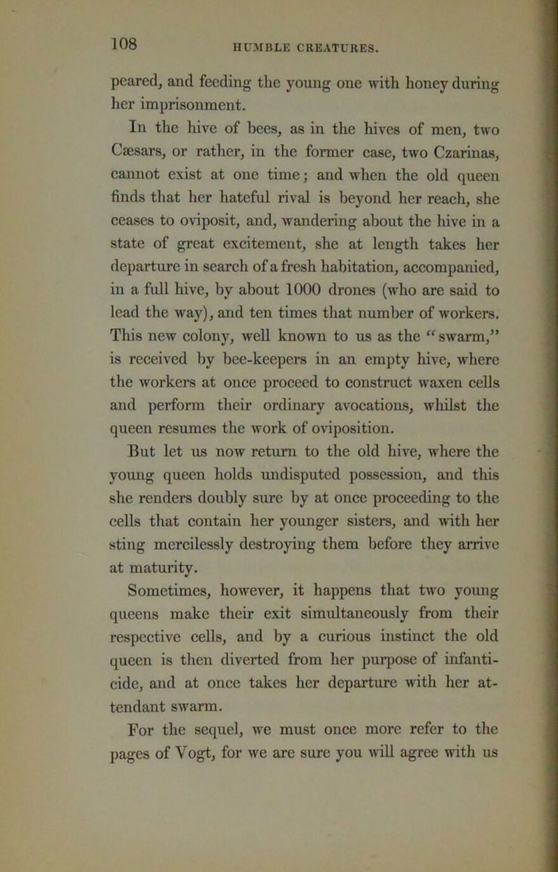 pearedj and feeding the young one ^vith honey during her imprisonment. In the hive of bees, as in the hives of men, two Caesars, or rather, in the former ease, two Czarinas, eannot exist at one time; and when the old queen finds that her hateful rival is beyond her reaeh, she eeases to oviposit, and, wandering about the hive in a state of great excitement, she at length takes her departure in search of a fresh habitation, accompanied, in a full hive, by about 1000 drones (who are said to lead the way), and ten times that number of workers. This new colony, well known to us as the “ swarm,” is received by bee-keepers in an empty hive, where the workers at once proceed to construct waxen cells and perform their ordinary avocations, whilst the queen resumes the work of oviposition. But let us now return to the old hive, where the young queen holds undisputed possession, and this she renders doubly sure by at once proceeding to the cells that contain her younger sisters, and with her sting mercilessly destroying them before they arrive at maturity. Sometimes, however, it happens that tw'O young queens make their exit simultaneously from their respective cells, and by a curious instinct the old queen is then diverted from her purpose of infanti- cide, and at once takes her departure Avith her at- tendant swarm. For the sequel, we must once more refer to the pages of Vogt, for we are sure you will agree with us