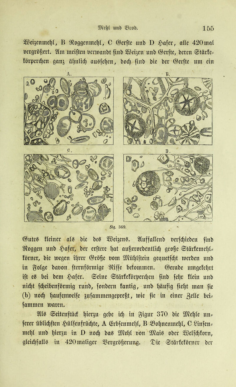 Sßeijenme^, B ^oggenmefjl, C ®erfte unb D £>afer, alk 420 mal uergrö^ert. 2lm meiften oermaubt fiub Seiten unb ®erfte, bereu @tärfe= förperd)en gauj ähnlich auSfel)en, bod) fiub bte ber ®erfte um ein A. B. ■5i(J. 369. (SuteS Keiner als bie beS Seitens. 2luffalleub oerfdjieben fiub loggen unb £mfer, ber erftere hat außerordentlich große @tär!eme^K förner, bie megen if)rer (§5rö^e oom Sttühlftein gequetfcßt merben unb in gotge baüon fternförmige SRiffe befommen. ®erabe umgefehrt ift es bei bem £afer. ©eine ©tärfeföriperdjen fiub feb)r Kein unb nicht fcheibenförmig runb, fonberu fantig, unb häufig fieht man fie (b) nod) Ijaufeumeife pfammengepreßt, mie fie in einer getfe bei* fammen maren. 2llS ©eitenftüd !)ier$u gebe ich in gigur 370 bie ÜIRehle un* ferer üblichften |mlfenfrüd)te, A (grbfenmehl, B 23of)nenmef)l, C Binfen* mehl unb fyier^u in D nod) bas ÜJRehl öon ORaiS ober Sßelfd)lorn, gleichfalls in 420 maliger Vergrößerung. £)ie @tärfeförner ber