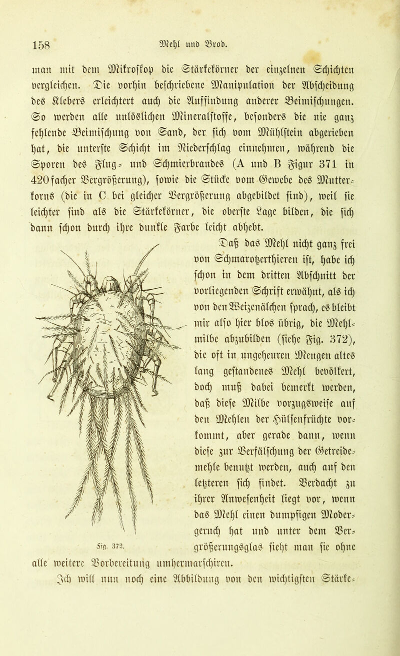 inan mit bem SO^ifroftop bie ©tärfeförner ber einzelnen ^djicßtcu nergteicßen. £)ie norßin betriebene 2D7anibutation ber Sibfdjeibung be$ UteberS erleichtert aud) bte toffiitbung aitberer Veimifcßungen. @o werben ade unlöSlidjen SCRineralftoffe f befonberS bte nie ganj fef)leitbe Veimifdjmtg non @anb, ber fid) nom dftüßtftein abgerieben ßat, bte unterfte @cßid)t im 07ieberfcß(ag einneßmen, wäßrenb bie Sporen be$ gtug* unb @d)mierbraube3 (A nnb B gigur 371 in 420fadjer Vergrößerung), fowie bie @titde nom ©ewebe be§ 9J7utter= font$ (bie in C bei gleicher Vergrößerung abgebtlbet finb), meit fte leidster finb at$ bie @tärlef önter, bie oberfte Sage bitbeu, bie fid) bann fdjott burd) ißre bunfte garbe leicht abßebt. ®aß ba$ SO^eljl nicht ganj frei non ©eßmaro^ertßiereu ift, ßabe icß feßott itt bem britten 2ibfcßuitt ber nortiegenbeu ^cßrift erwäßnt, al$ id) non ben Vkijcnätcßen fpradj, e$bteibt mir atfo ßier bto§ übrig, bie 20?eßt mitbe ab^ubitben (fieße gig. 372), bie oft in mtgcßeuren 20iettgen atte^ taug geftaubeueS 207cßt benölfert, boeß muß babei bemerft werben, baß biefe 20Zitbe oorpg^weife auf bett SOleßteit ber fSütfenfrüd)te nor* fommt, aber gerabe bann, wenn biefe $ur Verfätfeßung ber (Betreibe^ meßte benn^t werben, and) auf bett teueren fieß finbet. Verbad)t ißrer ^nwefenßeit liegt nor, wenn ba3 20ieß( einen burmpfigen ülftober* gerud) ßat nnb unter bem Ver* größerung3gta3 fießt mau fte oßne ade weitere Vorbereitung umßcrmarfcßireu. gcß wid nun noeß eine 2tbbUbuug non ben wid)tigften @tärfe* 5iö. 372.