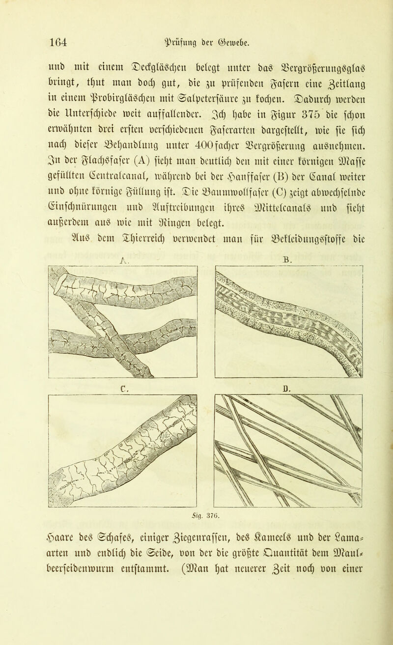 uub mit einem £)e(fgtä$d)en belegt unter ba§ Vergrößerungsglas bringt, tffut man bod) gut, bie ^u prüfeuben gafern eine 3e^tog in einem Sßrobirgtä6d)en mit ©atpeterfäure %u fodjen. Qaburcß merben bie Unterziehe meit auffadenber. 3d) i)abe in gigur 375 bie fd)on ermähnten brei erften üerfdjiebenett gaferarten bargeftedt, mie fie fid) nad) biefer Veßanbtung unter 400fad)er Vergrößerung auSneßmen. gn ber gtadjSfafer (A) fiet)t man beuttid) beit mit einer iörnigen DJ^affe gefüllten (Sentralcanal, mäßrenb bei ber £>anffafer (B) ber (Sanal meiter unb ol)ne förnige güdmtg ift. £)ic Vaummodfafer (C) jeigt abmedjfelnbe (Sinfdjnürungen unb Auftreibungen ißreS sIdittelcanalS uub fiefjt außerbem aus mic mit Gingen betegt. Aus bem £t)ierreid) üermenbet man für VefleibmtgSftoffe bie A. b. £aare beS (ScßafeS, einiger 3tegenraffett, beS $ameels unb ber £ama* arten unb eitblicf) bie @eibe, üon ber bie größte Quantität bem V7aud beerfeibenmurm eutftammt. (9Jian ßat neuerer 3eü nocf) non einer
