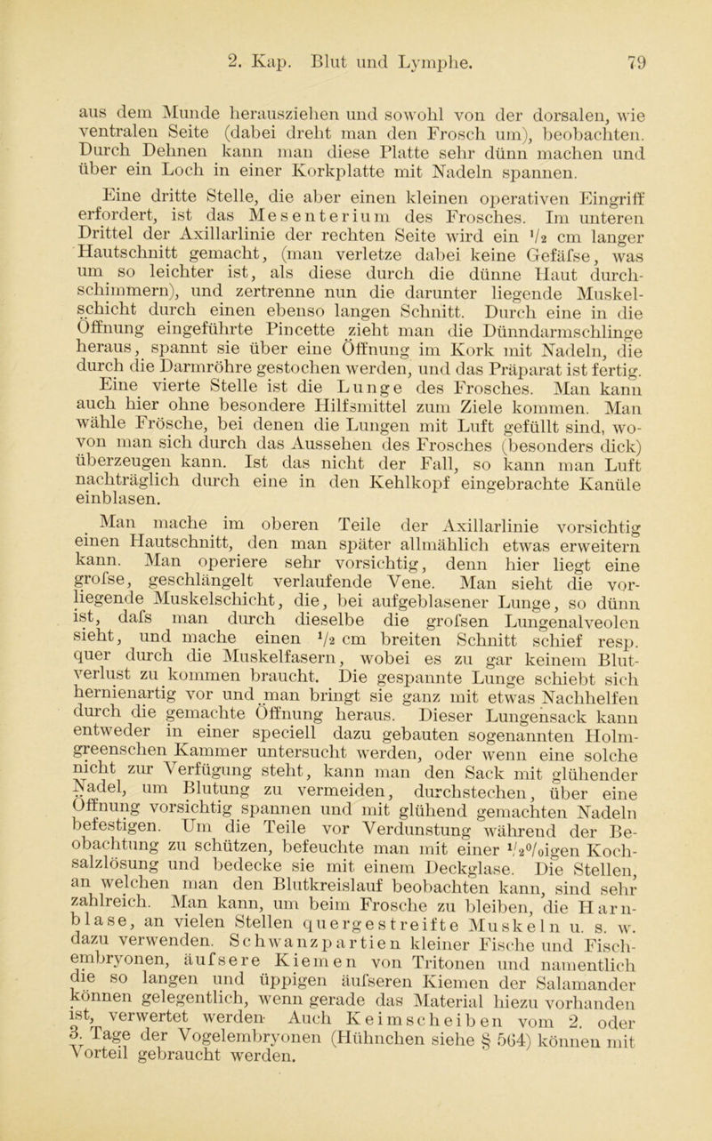 aus dem Munde herausziehen und sowohl von der dorsalen, wie ventralen Seite (dabei dreht man den Frosch um), beobachten. Durch Dehnen kann man diese Platte sehr dünn machen und über ein Loch in einer Korkplatte mit Nadeln spannen. Line dritte Stelle, die aber einen kleinen operativen Eingriff erfordert, ist das Mesenterium des Frosches. Im unteren Drittel der Axillarlinie der rechten Seite wird ein V2 cm langer Hautschnitt gemacht, (man verletze dabei keine Gefälse, was um so leichter ist, als diese durch die dünne Haut durch- schimmern), und zertrenne nun die darunter liegende Muskel- schicht durch einen ebenso langen Schnitt, Durch eine in die Öffnung eingeführte Pincette zieht man die Dünndarmschlinge heraus, spannt sie über eine Öffnung im Kork mit Nadeln, die durch die Darmröhre gestochen werden, und das Präparat ist fertig. Eine vierte Stelle ist die Lunge des Frosches. Man kann auch hier ohne besondere Hilfsmittel zum Ziele kommen. Man wähle Frösche, bei denen die Lungen mit Luft gefüllt sind, wo- von man sich durch das Aussehen des Frosches (besonders dick) überzeugen kann. Ist das nicht der Fall, so kann man Luft nachträglich durch eine in den Kehlkopf eingebrachte Kanüle einblasen. Man mache im oberen Teile der Axillarlinie vorsichtig einen Hautschnitt, den man später allmählich etwas erweitern kann. Man operiere sehr vorsichtig, denn hier liegt eine grofse, geschlängelt verlaufende Vene. Man sieht die vor- liegende Muskelschicht, die, bei aufgeblasener Lunge, so dünn ist, dafs man durch dieselbe die grofsen Lungenalveolen sieht, und mache einen 1/*2 cm breiten Schnitt schief resp. quer durch die Muskelfasern, wobei es zu gar keinem Blut- verlust zu kommen braucht. Die gespannte Lunge schiebt sich hernienartig vor und man bringt sie ganz mit etwas Nachhelfen durch die gemachte Öffnung heraus. Dieser Lungensack kann entweder in^ einer speciell dazu gebauten sogenannten Holm- greenschen Kammer untersucht werden, oder wenn eine solche nicht zur Verfügung steht, kann man den Sack mit glühender 1adel, um Blutung zu vermeiden, durchstechen, über eine Öffnung vorsichtig spannen und mit glühend gemachten Nadeln befestigen. Um die Teile vor Verdunstung während der Be- obachtung zu schützen, befeuchte man mit einer V'i'Yoigen Koch- salzlösung und bedecke sie mit einem Deckglase. Die Stellen, an welchen man den Blutkreislauf beobachten kann, sind sehr zahlreich. Man kann, um beim Frosche zu bleiben, die Harn- blase, an vielen Stellen quergestreifte Muskeln u. s. w. dazu verwenden. Schwanzpartien kleiner Fische und Fisch- embrvonen, äufsere Kiemen von Tritonen und namentlich die so langen und üppigen äufseren Kiemen der Salamander können gelegentlich, wenn gerade das Material hiezu vorhanden ist, verwertet werden Auch Keim scheiben vom 2. oder 3. Tage der Vogelembryonen (Hühnchen siehe § 5(34) können mit Vorteil gebraucht werden.