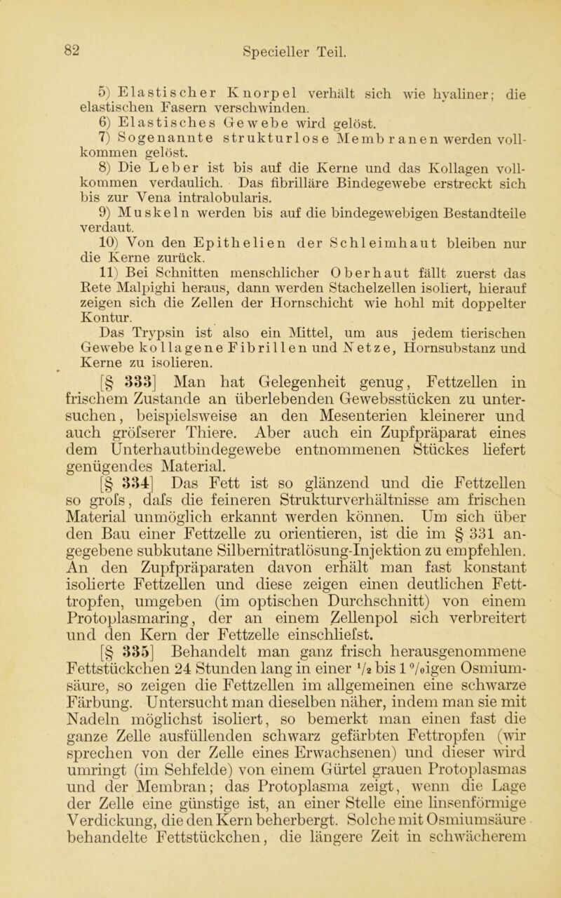 5) Elastischer Knorpel verhält sich wie hyaliner; die elastischen Fasern verschwinden. 6) Elastisches Gewebe wird gelöst. 7) Sogenannte strukturlose Me mb r an en werden voll- kommen gelöst. 8) Die Leber ist bis auf die Kerne und das Ivollagen voll- kommen verdaulich. Das fibrilläre Bindegewebe erstreckt sich bis zur Vena intralobularis. 9) Muskeln werden bis auf die bindegewebigen Bestandteile verdaut. 10) Von den Epithelien der Schleimhaut bleiben nur die Kerne zurück. 11) Bei Schnitten menschlicher Oberhaut fällt zuerst das Rete Malpighi heraus, dann werden Stachelzellen isoliert, hierauf zeigen sich die Zellen der Hornschicht wie hohl mit doppelter Kontur. Das Trypsin ist also ein Mittel, um aus jedem tierischen Gewebe kollagene Fibrillen und Netze, Hornsubstanz und Kerne zu isolieren. [§ 333] Man hat Gelegenheit genug, Fettzellen in frischem Zustande an überlebenden Gewebsstiicken zu unter- suchen , beispielsweise an den Mesenterien kleinerer und auch gröfserer Thiere. Aber auch ein Zupfpräparat eines dem Unterhautbindegewebe entnommenen Stückes liefert genügendes Material. [§ 334] Das Fett ist so glänzend und die Fettzellen so grofs, dafs die feineren Strukturverhältnisse am frischen Material unmöglich erkannt werden können. Um sich über den Bau einer Fettzelle zu orientieren, ist die im § 331 an- gegebene subkutane Silbernitratlösung-Injektion zu empfehlen. An den Zupfpräparaten davon erhält man fast konstant isolierte Fettzellen und diese zeigen einen deutlichen Fett- tropfen, umgeben (im optischen Durchschnitt) von einem Protoplasmaring, der an einem Zellenpol sich verbreitert und den Kern der Fettzelle einschliefst. [§ 335] Behandelt man ganz frisch herausgenommene Fettstückchen 24 Stunden lang in einer V* bis 1 °/oigen Osmium- säure, so zeigen die Fettzellen im allgemeinen eine schwarze Färbung. Untersucht man dieselben näher, indem man sie mit Nadeln möglichst isoliert, so bemerkt man einen fast die ganze Zelle ausfüllenden schwarz gefärbten Fettropfen (wir sprechen von der Zelle eines Erwachsenen) und dieser wird umringt (im Sehfelde) von einem Gürtel grauen Protoplasmas und der Membran; das Protoplasma zeigt, wenn die Lage der Zelle eine günstige ist, an einer Stelle eine linsenförmige Verdickung, die den Kern beherbergt. Solche mit Osmiumsäure behandelte Fettstückchen, die längere Zeit in schwächerem