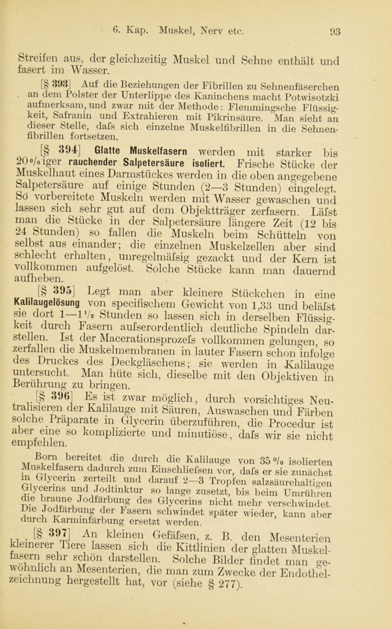 Streifen aus, der gleichzeitig Muskel und Sehne enthält und fasert im Wasser. [§ 393] Auf die Beziehungen der Fibrillen zu Sehnenfäserchen , an dem Polster der Unterlippe des Kaninchens macht Potwisotzki aufmerksam, und zwar mit der Methode: Flemmingsche Flüssig- keit, Safranin und Fxtrahieren mit Pikrinsäure. Man sieht an dieser Stelle, dafs sich einzelne Muskelfibrillen in die Sehnen- fibrillen fortsetzen. [§ 394] Glatte Muskelfasern werden mit starker bis 20 o/o iger rauchender Salpetersäure isoliert. Frische Stücke der Muskelhaut eines Darmstückes werden in die oben angegebene Salpetersäure auf einige Stunden (2—3 Stunden) eingelegt. So vorbereitete Muskeln werden mit Wasser gewaschen und lassen sich sehr gut auf dem Objektträger zerfasern. Läfst man die Stücke in der Salpetersäure längere Zeit (12 bis 24 Stunden) so fallen die Muskeln beim Schütteln von selbst aus einander; die einzelnen Muskelzellen aber sind schlecht erhalten, unregelmäfsig gezackt und der Kern ist vollkommen aufgelöst. Solche Stücke kann man dauernd aufheben. [§ Legt man aber kleinere Stückchen in eine Kalilaugelösung von specifischem Gewicht von 1,33 und beläfst sie dort 1—1V* Stunden so lassen sich in derselben Flüssig- keit duich Fasern aufserordentlich deutliche Spindeln dar- stellen. Ist der Macerationsprozefs vollkommen gelungen, so zerfallen die Muskelmembranen in lauter Fasern schon infolge des Druckes des Deckgläschens; sie werden in -Kalilauge untersucht. Man hüte sich, dieselbe mit den Objektiven in .Berührung zu bringen. [§ 396] Fs ist zwar möglich, durch vorsichtiges Neu- tralisierender Kalilauge mit Säuren, Auswaschen und Färben solche. Präparate in Glycerin überzuführen, die Procedur ist aber eine so komplizierte und minutiöse, dafs wir sie nicht empfehlen. Born bereitet die durch die Kalilauge von 35 °/o isolierten Muskelfasern dadurch zum Einschliefsen vor, dafs er sie zunächst m Glycerin zerteilt und darauf 2-3 Tropfen salzsäurehaltigen Glycerins und Jodtinktur so lange zusetzt, bis beim Umrühren die braune Jodfärbung des Glycerins nicht mehr verschwindet. Die Jodfarbung der Fasern schwindet später wieder, kann aber durch Karminfärbung ersetzt werden. . [§ An kleinen Gefäfsen, z. B. den Mesenterien kleinerer Tiere lassen sich die Kittlinien der glatten Muskel- fasern sehr schon darstellen. Solche Bilder findet man ge- wöhnlich an Mesenterien, die man zum Zwecke der Endothel- zeichnung hergestellt hat, vor (siehe § 277).