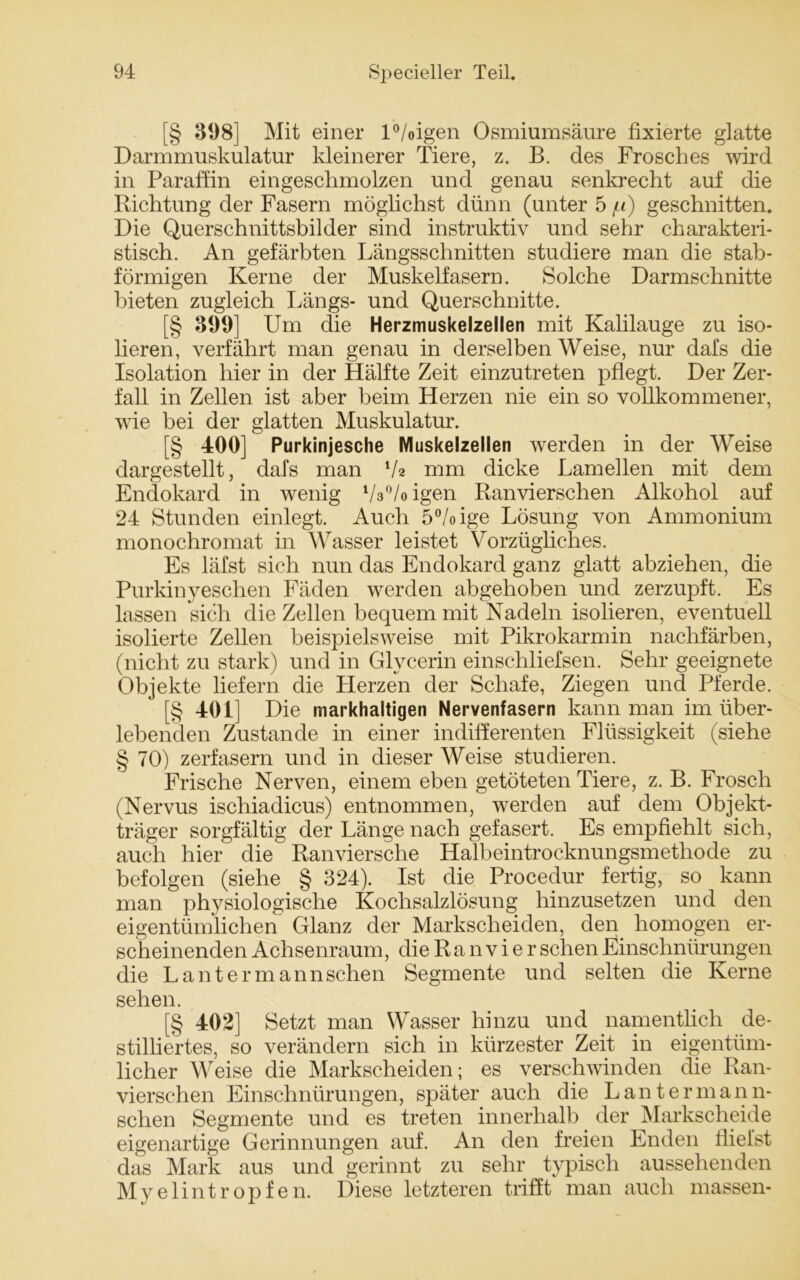 [§ 398] Mit einer l°/oigen Osmiumsäure fixierte glatte Darmmuskulatur kleinerer Tiere, z. B. des Frosches wird in Paraffin eingeschmolzen und genau senkrecht auf die Richtung der Fasern möglichst dünn (unter 5 fi) geschnitten. Die Querschnittsbilder sind instruktiv und sehr charakteri- stisch. An gefärbten Längsschnitten studiere man die stab- förmigen Kerne der Muskelfasern. Solche Darmschnitte bieten zugleich Längs- und Querschnitte. [§ 399] Um die Herzmuskelzellen mit Kalilauge zu iso- lieren, verfährt man genau in derselben Weise, nur dafs die Isolation hier in der Hälfte Zeit einzutreten pflegt. Der Zer- fall in Zellen ist aber beim Herzen nie ein so vollkommener, wie bei der glatten Muskulatur. [§ 400] Purkinjesche Muskelzellen werden in der Weise dargestellt, dafs man lA> mm dicke Lamellen mit dem Endokard in wenig Va0/oigen Ranvierschen Alkohol auf 24 Stunden einlegt. Auch 5°/oige Lösung von Ammonium monochromat in Wasser leistet Vorzügliches. Es läfst sich nun das Endokard ganz glatt abziehen, die Purkinyeschen Fäden werden abgehoben und zerzupft. Es lassen sich die Zellen bequem mit Nadeln isolieren, eventuell isolierte Zellen beispielsweise mit Pikrokarmin nachfärben, (nicht zu stark) und in Glycerin einscliliefsen. Sehr geeignete Objekte liefern die Herzen der Schafe, Ziegen und Pferde. [§ 401] Die markhaltigen Nervenfasern kann man im über- lebenden Zustande in einer indifferenten Flüssigkeit (siehe § 70) zerfasern und in dieser Weise studieren. Frische Nerven, einem eben getöteten Tiere, z. B. Frosch (Nervus ischiadicus) entnommen, werden auf dem Objekt- träger sorgfältig der Länge nach gefasert. Es empfiehlt sich, auch hier die Ranviersche Halbeintrocknungsmethode zu befolgen (siehe § 324). Ist die Procedur fertig, so kann man physiologische Kochsalzlösung hinzusetzen und den eigentümlichen Glanz der Markscheiden, den homogen er- scheinenden Achsenraum, die R a n v i e r sehen Einschnürungen die Lantermannschen Segmente und selten die Kerne sehen. [§ 402] Setzt man Wasser hinzu und namentlich de- stilliertes, so verändern sich in kürzester Zeit in eigentüm- licher Weise die Markscheiden; es verschwinden die Ran- vierschen Einschnürungen, später auch die Lantennann- schen Segmente und es treten innerhalb. der Markscheide eigenartige Gerinnungen auf. An den freien Enden fliehst das Mark aus und gerinnt zu sehr typisch aussehenden Myelintropfen. Diese letzteren trifft man auch massen-