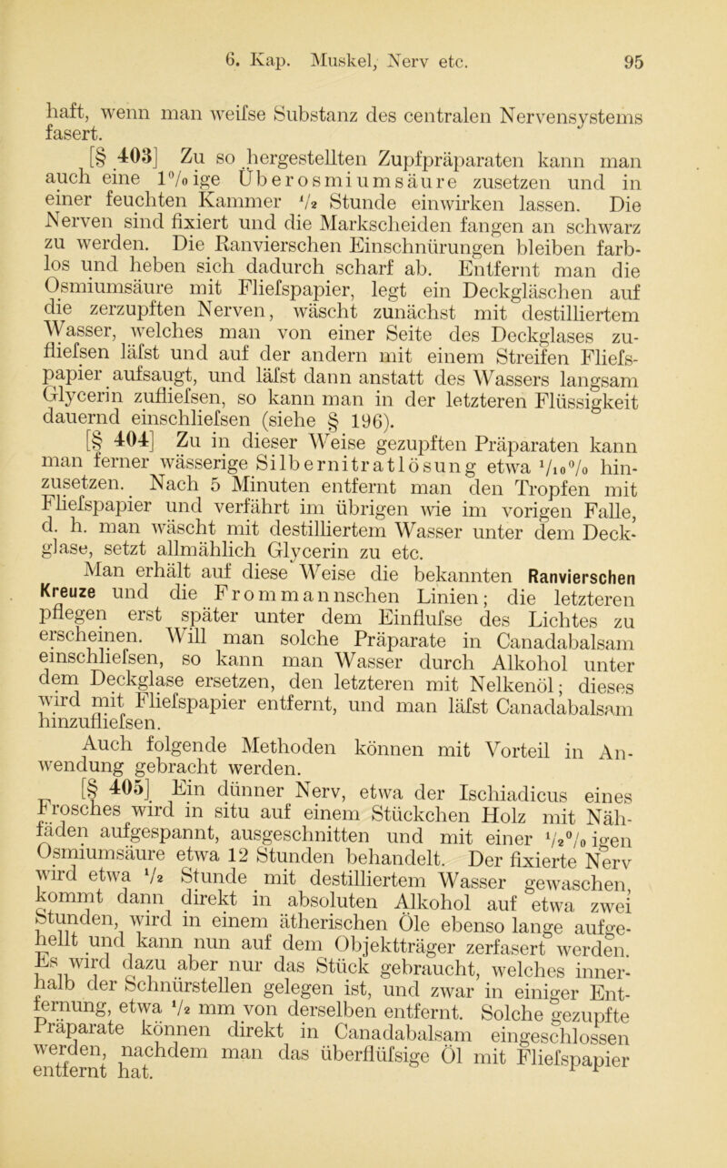 haft, wenn man weifse Substanz des centralen Nervensystems fasert. [§ 403] Zu so hergestellten Zupfpräparaten kann man auch eine 1 °/o ige Über osmiumsäure zusetzen und in einer feuchten Kammer V* Stunde einwirken lassen. Die Nerven sind fixiert und die Markscheiden fangen an schwarz zu werden. Die Ranvierschen Einschnürungen bleiben farb- los und heben sich dadurch scharf ab. Entfernt man die Osmiumsäure mit Fliefspapier, legt ein Deckgläschen auf die zerzupften Nerven, wäscht zunächst mit destilliertem Wasser, welches man von einer Seite des Deckglases zu- fliefsen läfst und auf der andern mit einem Streifen Fliefs- papiei auf saugt, und läfst dann anstatt des Wassers langsam Glycerin zufliefsen, so kann man in der letzteren Flüssigkeit dauernd einschliefsen (siehe § 196). [§ 404] Zu in dieser Weise gezupften Präparaten kann man ferner wässerige Silbernitratlösung etwa Vio% hin- zusetzen. Nach 5 Minuten entfernt man den Tropfen mit Fliefspapier und verfährt im übrigen wie im vorigen Falle, d. h. man wäscht mit destilliertem Wasser unter dem Deck- giase, setzt allmählich Glycerin zu etc. Man erhält auf diese Weise die bekannten Ranvierschen Kreuze und die Fromm an nschen Linien; die letzteren pflegen erst später unter dem Einflufse des Lichtes zu erscheinen. Will man solche Präparate in Canadabalsam emschliefsen, so kann man Wasser durch Alkohol unter dem Deckglase ersetzen, den letzteren mit Nelkenöl- dieses wird mit Fliefspapier entfernt, und man läfst Canadabalsam hmzufiiefsen. Auch folgende Methoden können mit Vorteil in An- wendung gebracht werden. [§ 405} Ein dünner Nerv, etwa der Ischiadicus eines 4 rösches wird m situ auf einem Stückchen Holz mit Näh- läden aufgespannt, ausgeschnitten und mit einer V2°/o Ken Osmiumsäure etwa 12 Stunden behandelt. Der fixierte Nerv \\nd etwa 7z Stunde mit destilliertem Wasser gewaschen kommt dann direkt in absoluten Alkohol auf etwa zwei Stunden wird m einem ätherischen Öle ebenso lange aufge- eilt und kann nun auf dem Objektträger zerfasert werden Jis wird dazu aber nur das Stück gebraucht, welches inner- halb der feehnürstellen gelegen ist, und zwar in einiger Ent- tarnung, etwa, */* mm von derselben entfernt. Solche gezupfte rraparate können direkt in Canadabalsam eingeschlossen Entfernt hat**16111 ^ überflürsiSe 01 mit Fliefspapier