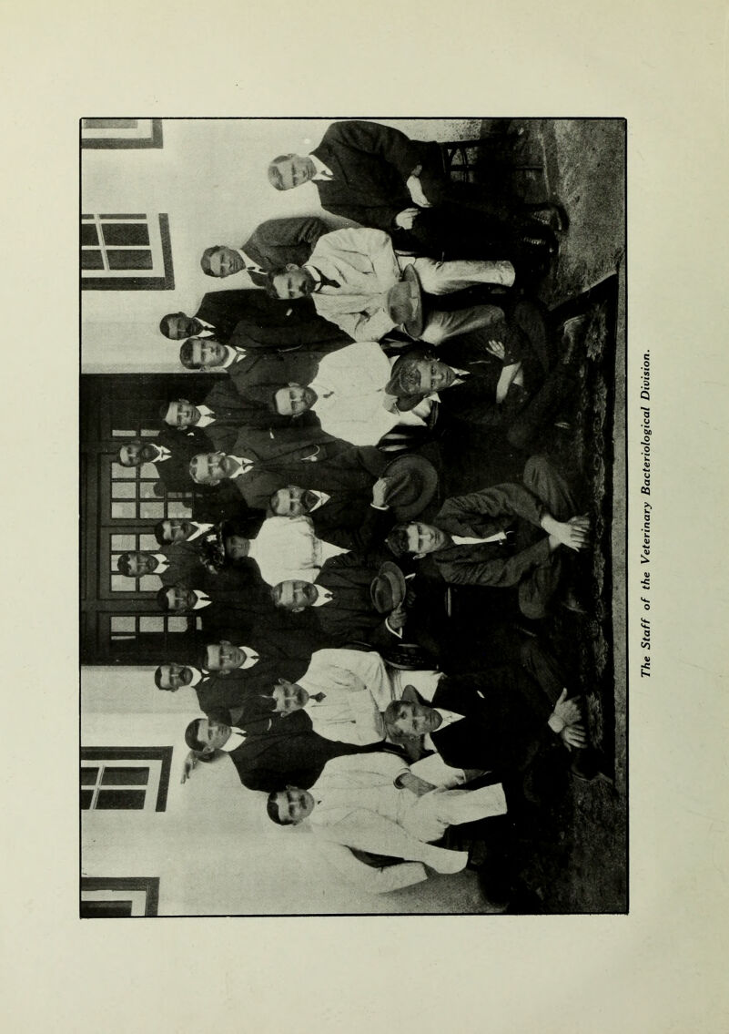 Staff of the Veterinary Bacteriological Division.