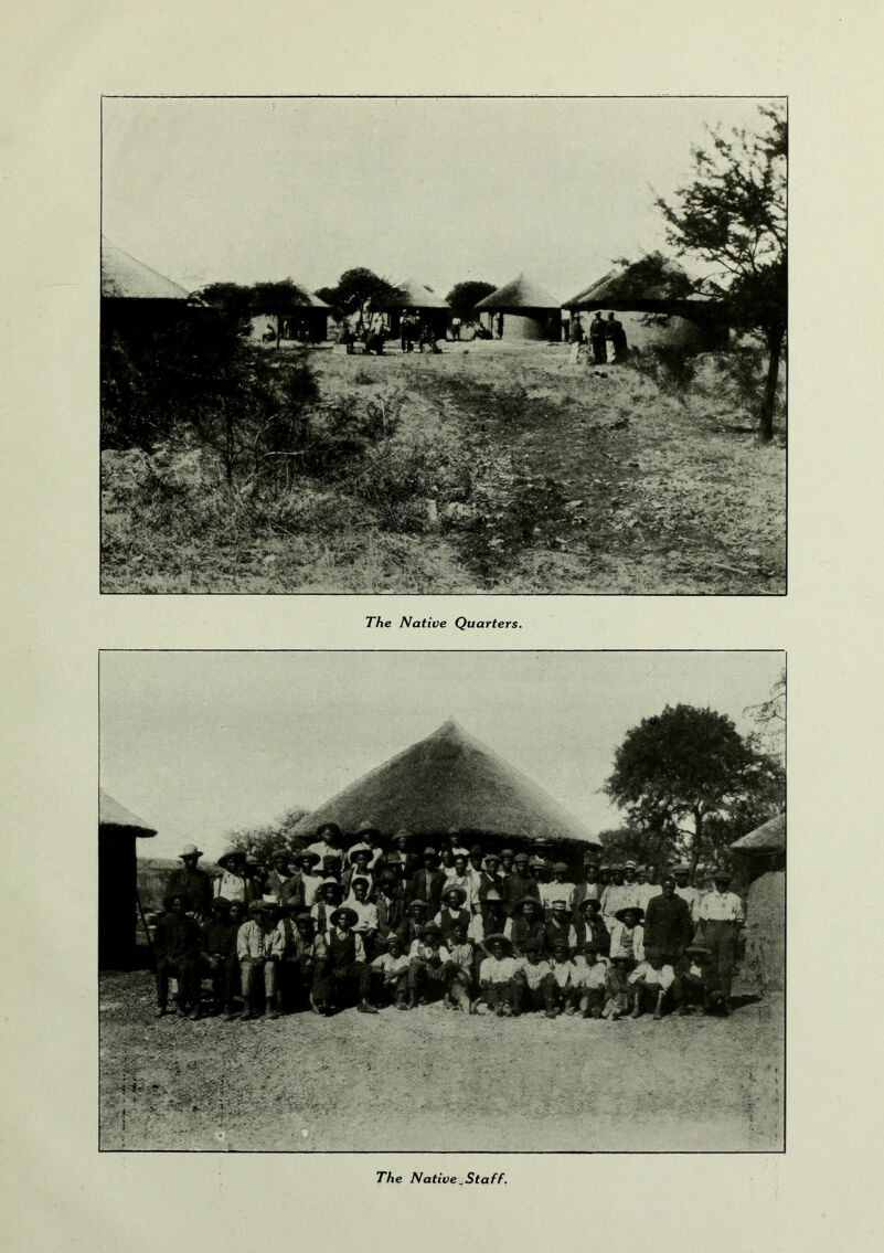 The Native Quarters. The Native,Staff.