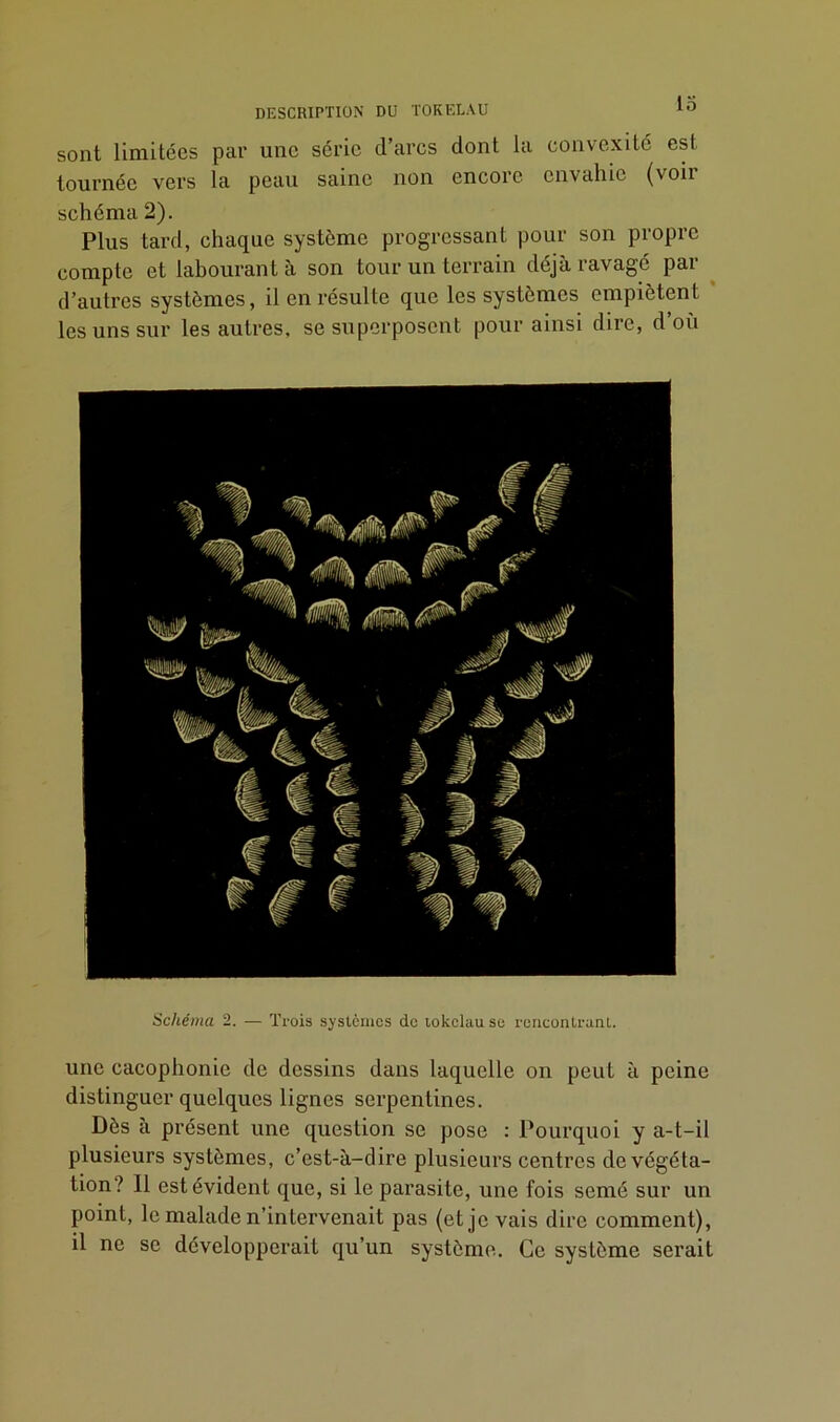 DESCRIPTION DU TOKELAU 10 sont limitées par une série d’arcs dont la convexité est tournée vers la peau saine non encore envahie (voir schéma 2). Plus tard, chaque système progressant pour son propre compte et labourant à son tour un terrain déjà ravagé par d’autres systèmes, il en résulte que les systèmes empiètent les uns sur les autres, se superposent pour ainsi dire, d où Schéma 2. — Trois systèmes de tokélau se rencontrant. une cacophonie de dessins dans laquelle on peut à peine distinguer quelques lignes serpentines. Dès à présent une question se pose : Pourquoi y a-t-il plusieurs systèmes, c’est-à-dire plusieurs centres de végéta- tion? 11 est évident que, si le parasite, une fois semé sur un point, le malade n’intervenait pas (et je vais dire comment), il ne se développerait qu’un système. Ce système serait