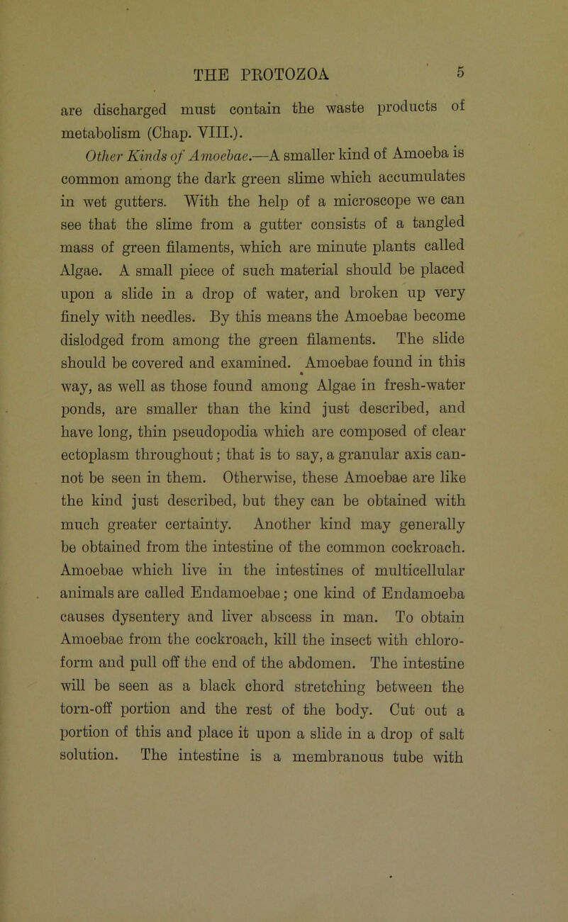 are discharged must contain the waste products of metabolism (Chap. VIII.). Other Kinds of Amoebae.—A smaller kind of Amoeba is common among the dark green slime which accumulates in wet gutters. With the help of a microscope we can see that the slime from a gutter consists of a tangled mass of green filaments, which are minute plants called Algae. A small piece of such material should be placed upon a slide in a drop of water, and broken up very finely with needles. By this means the Amoebae become dislodged from among the green filaments. The slide should be covered and examined. Amoebae found in this way, as well as those found among Algae in fresh-water ponds, are smaller than the kind just described, and have long, thin pseudopodia which are composed of clear ectoplasm throughout; that is to say, a granular axis can- not be seen in them. Otherwise, these Amoebae are like the kind just described, but they can be obtained with much greater certainty. Another kind may generally be obtained from the intestine of the common cockroach. Amoebae which live in the intestines of multicellular animals are called Endamoebae; one kind of Endamoeba causes dysentery and liver abscess in man. To obtain Amoebae from the cockroach, kill the insect with chloro- form and pull off the end of the abdomen. The intestine will be seen as a black chord stretching between the torn-off portion and the rest of the body. Cut out a portion of this and place it upon a slide in a drop of salt solution. The intestine is a membranous tube with