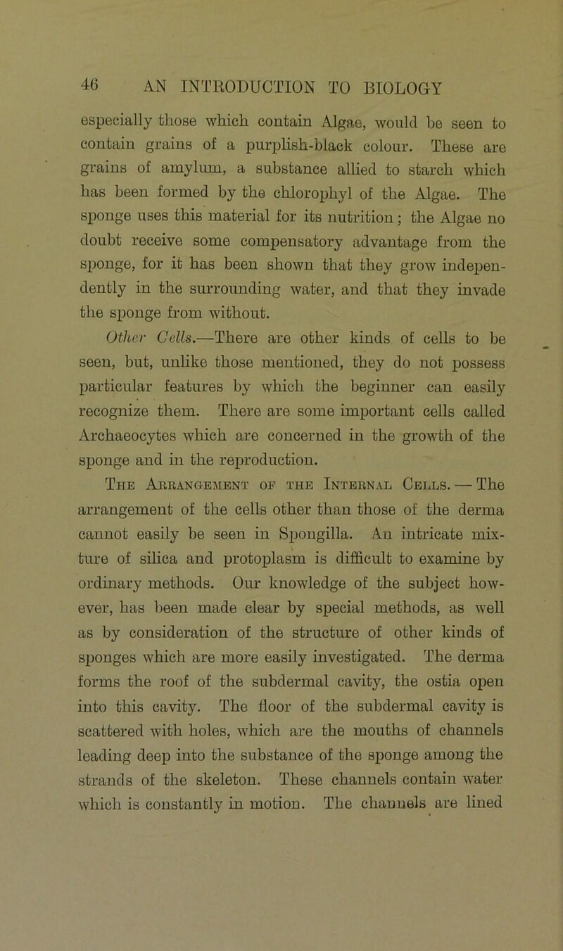 especially those which contain Algae, would be seen to contain grains of a purplish-black colour. These are grains of amylum, a substance allied to starch which has been formed by the chlorophyl of the Algae. The sponge uses this material for its nutrition; the Algae no doubt receive some compensatory advantage from the sponge, for it has been shown that they grow indepen- dently in the surrounding water, and that they invade the sponge from without. Other Cells.—There are other kinds of cells to be seen, but, unlike those mentioned, they do not possess particular features by which the beginner can easily recognize them. There are some important cells called Archaeocytes which are concerned in the growth of the sponge and in the reproduction. The Arrangement of the Internal Cells. — The arrangement of the cells other than those of the derma cannot easily be seen in Spongilla. An intricate mix- ture of silica and protoplasm is difficult to examine by ordinary methods. Our knowledge of the subject how- ever, has been made clear by special methods, as well as by consideration of the structure of other kinds of sponges which are more easily investigated. The derma forms the roof of the subdermal cavity, the ostia open into this cavity. The floor of the subdermal cavity is scattered with holes, which are the mouths of channels leading deep into the substance of the sponge among the strands of the skeleton. These channels contain water which is constantly in motion. The channels are lined