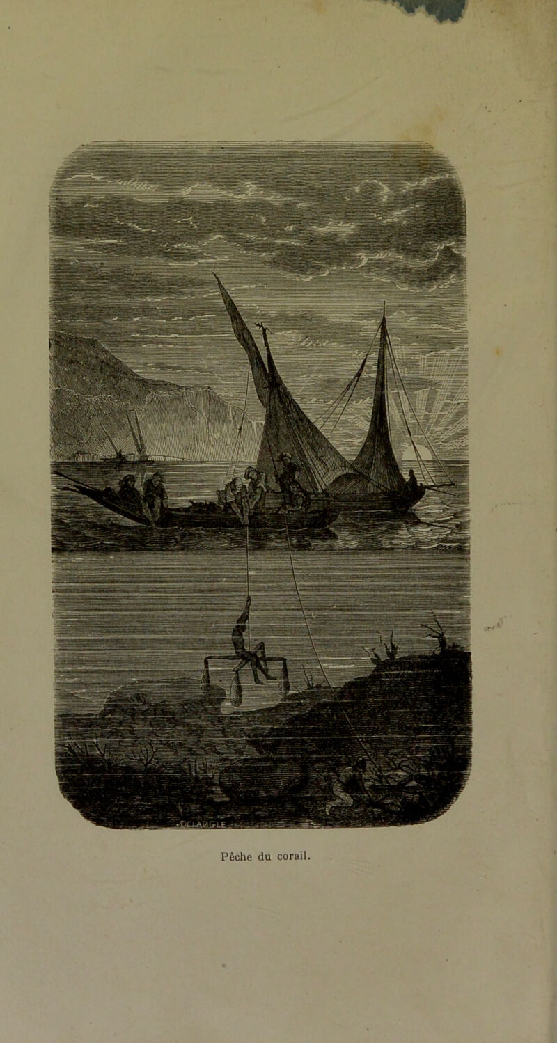 Pêche du corail