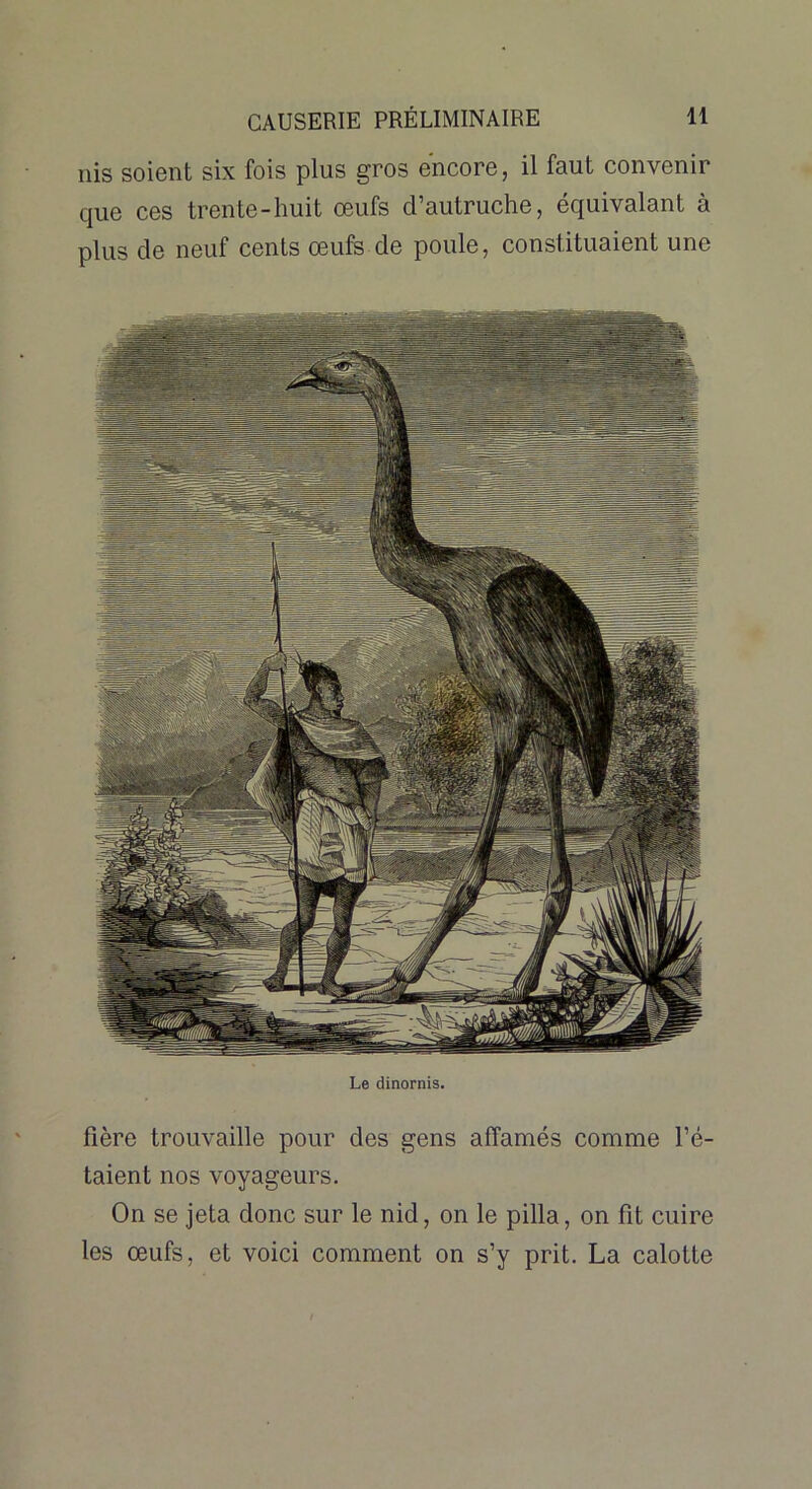 nis soient six fois plus gros encore, il faut convenir que ces trente-huit œufs d’autruche, équivalant à plus de neuf cents œufs de poule, constituaient une Le dinornis. fière trouvaille pour des gens affamés comme l’é- taient nos voyageurs. On se jeta donc sur le nid, on le pilla, on fit cuire les œufs, et voici comment on s’y prit. La calotte