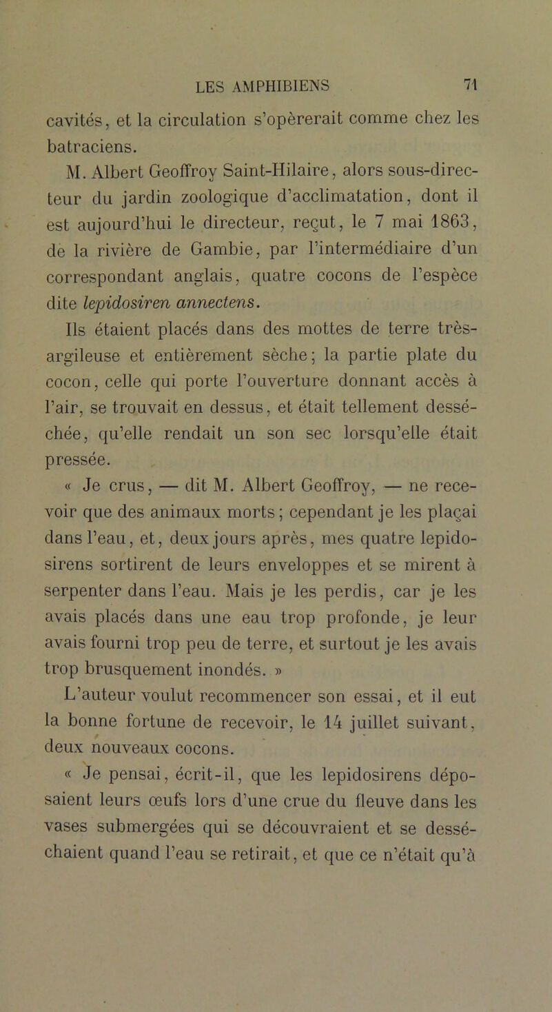 cavités, et la circulation s’opérerait comme chez les batraciens. M. Albert Geoffroy Saint-Hilaire, alors sous-direc- teur du jardin zoologique d’acclimatation, dont il est aujourd’hui le directeur, reçut, le 7 mai 1863, de la rivière de Gambie, par l’intermédiaire d’un correspondant anglais, quatre cocons de l’espèce dite lepidosiren annectens. Ils étaient placés dans des mottes de terre très- argileuse et entièrement sèche; la partie plate du cocon, celle qui porte l’ouverture donnant accès à l’air, se trouvait en dessus, et était tellement dessé- chée, qu’elle rendait un son sec lorsqu’elle était pressée. « Je crus, — dit M. Albert Geoffroy, — ne rece- voir que des animaux morts ; cependant je les plaçai dans l’eau, et, deux jours après, mes quatre lepido- sirens sortirent de leurs enveloppes et se mirent à serpenter dans l’eau. Mais je les perdis, car je les avais placés dans une eau trop profonde, je leur avais fourni trop peu de terre, et surtout je les avais trop brusquement inondés. » L’auteur voulut recommencer son essai, et il eut la bonne fortune de recevoir, le 14 juillet suivant , deux nouveaux cocons. \ « Je pensai, écrit-il, que les lepidosirens dépo- saient leurs œufs lors d’une crue du fleuve dans les vases submergées qui se découvraient et se dessé- chaient quand l’eau se retirait, et que ce n’était qu’à