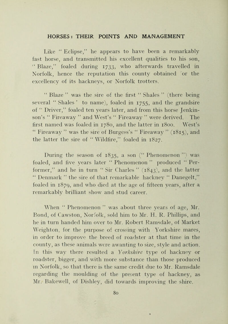 Like “ Eclipse,” he appears to have been a remarkably fast horse, and transmitted his excellent qualities to his son, “ Blaze,” foaled during 1733, who afterwards travelled in Norfolk, hence the reputation this county obtained or the excellency of its hackneys, or Norfolk trotters. “ Blaze ” was the sire of the first “ Shales ” (there being several “ Shales ’ to name), foaled in 1755, and the grandsire of “ Driver,” foaled ten years later, and from this horse Jenkin- son’s “ Fireaway ” and West’s “ Fireaway ” were derived. The first named was foaled in 1780, and the latter in 1800. West’s “ Fireaway ” was the sire of Burgess’s “ Fireaway ” (1815), and the latter the sire of “ Wildfire,” foaled in 1827. During the season of 1835, a son (“ Phenomenon ”) was foaled, and five vears later “ Phenomenon ” produced “ Per- former,” and he in turn “ Sir Charles ” (1843), and the latter “ Denmark ” the sire of that remarkable hackney “ Danegelt,” foaled in 1879, and who died at the age of fifteen years, after a remarkably brilliant show and stud career. When “ Phenomenon ” was about three years of age, Mr. Bond, of Cawston, Norfolk, sold him to Mr. H. R. Phillips, and he in turn handed him over to Mr. Robert Ramsdale, of Market Weighton, for the purpose of crossing with Yorkshire mares, in order to improve the breed of roadster at that time in the county, as these animals were awanting to size, style and action. In this way there resulted a Yorkshire type of hackney or roadster, bigger, and with more substance than those produced m Norfolk, so that there is the same credit due to Mr. Ramsdale regarding the moulding of the present type of hackney, as Mr. Bakewell, of Dishley, did towards improving the shire.