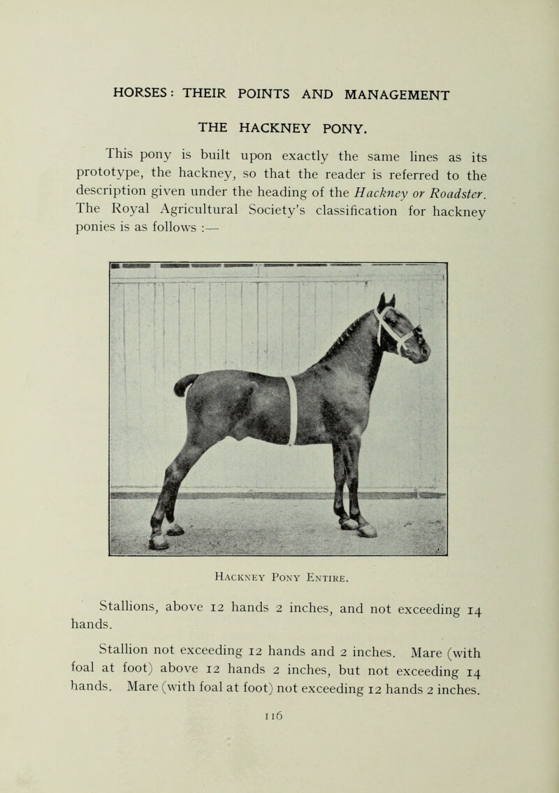 THE HACKNEY PONY. This pony is built upon exactly the same lines as its prototype, the hackney, so that the reader is referred to the description given under the heading of the Hackney or Roadster. The Royal Agricultural Society’s classification for hackney ponies is as follows :— Hackney Pony Entire. Stallions, above 12 hands 2 inches, and not exceeding 14 hands. Stallion not exceeding 12 hands and 2 inches. Mare (with foal at foot) above 12 hands 2 inches, but not exceeding 14 hands. Mare (with foal at foot) not exceeding 12 hands 2 inches.