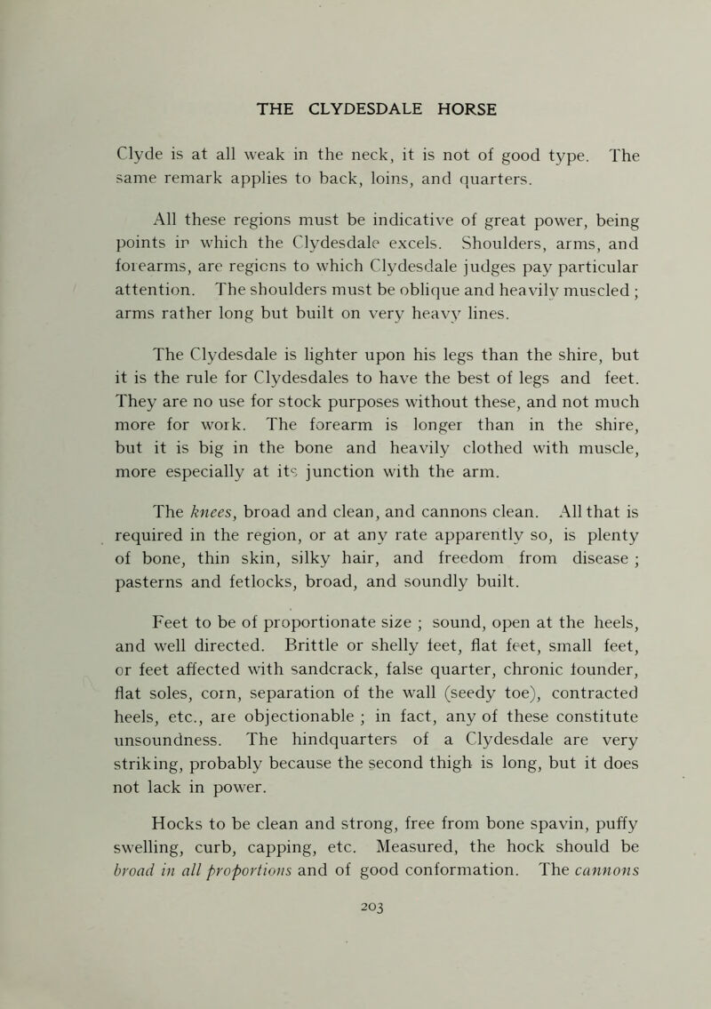Clyde is at all weak in the neck, it is not of good type. The same remark applies to back, loins, and quarters. All these regions must be indicative of great power, being points in which the Clydesdale excels. Shoulders, arms, and forearms, are regions to which Clydesdale judges pay particular attention. The shoulders must be oblique and heavily muscled ; arms rather long but built on very heavy lines. The Clydesdale is lighter upon his legs than the shire, but it is the rule for Clydesdales to have the best of legs and feet. They are no use for stock purposes without these, and not much more for work. The forearm is longer than in the shire, but it is big in the bone and heavily clothed with muscle, more especially at its junction with the arm. The knees, broad and clean, and cannons clean. All that is required in the region, or at any rate apparently so, is plenty of bone, thin skin, silky hair, and freedom from disease ; pasterns and fetlocks, broad, and soundly built. Feet to be of proportionate size ; sound, open at the heels, and well directed. Brittle or shelly feet, flat feet, small feet, or feet affected with sandcrack, false quarter, chronic founder, flat soles, corn, separation of the wall (seedy toe), contracted heels, etc., are objectionable ; in fact, any of these constitute unsoundness. The hindquarters of a Clydesdale are very striking, probably because the second thigh is long, but it does not lack in power. Hocks to be clean and strong, free from bone spavin, puffy swelling, curb, capping, etc. Measured, the hock should be broad in all proportions and of good conformation. The cannons