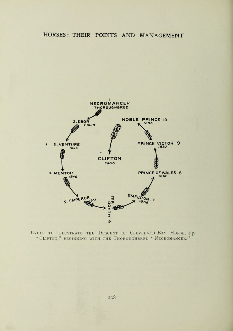 NECROMANCER THOROUGHBRED 2.EB0R r/ePB i 3 VENTURE /a 23 NOBLE PRINCE.10 1836 CLIFTON 1900 PRINCE VICTOR . 9 1882 4. MENTOR PRINCE OF WALES 8 1874 Cycle to Illustrate the Descent of Cleveland Bay Horse, e.g* “Clifton,” beginning with the Thoroughbred “Necromancer.”