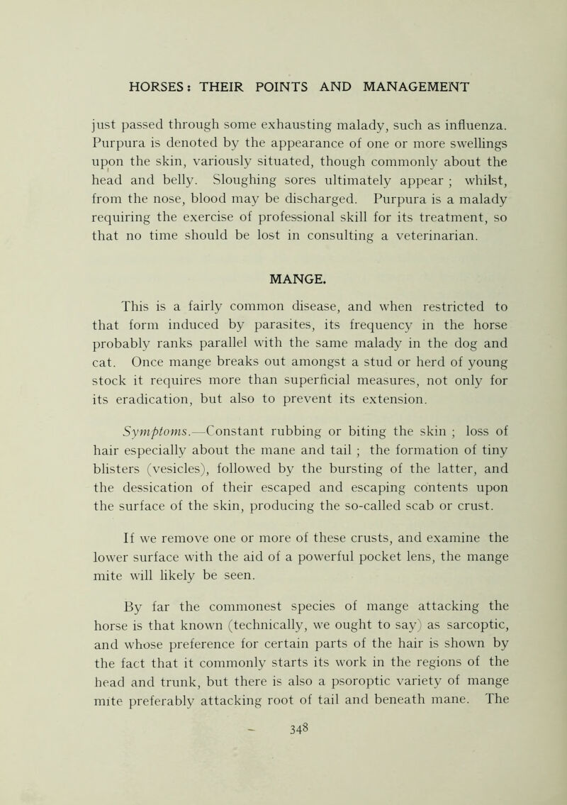 just passed through some exhausting malady, such as influenza. Purpura is denoted by the appearance of one or more swellings upon the skin, variously situated, though commonly about the head and belly. Sloughing sores ultimately appear ; whilst, from the nose, blood may be discharged. Purpura is a malady requiring the exercise of professional skill for its treatment, so that no time should be lost in consulting a veterinarian. MANGE. This is a fairly common disease, and when restricted to that form induced by parasites, its frequency in the horse probably ranks parallel with the same malady in the dog and cat. Once mange breaks out amongst a stud or herd of young stock it requires more than superficial measures, not only for its eradication, but also to prevent its extension. Symptoms.—Constant rubbing or biting the skin ; loss of hair especially about the mane and tail ; the formation of tiny blisters (vesicles), followed by the bursting of the latter, and the dessication of their escaped and escaping contents upon the surface of the skin, producing the so-called scab or crust. If we remove one or more of these crusts, and examine the lower surface with the aid of a powerful pocket lens, the mange mite will likely be seen. By far the commonest species of mange attacking the horse is that known (technically, we ought to say) as sarcoptic, and whose preference for certain parts of the hair is shown by the fact that it commonly starts its work in the regions of the head and trunk, but there is also a psoroptic variety of mange mite preferably attacking root of tail and beneath mane. Ihe