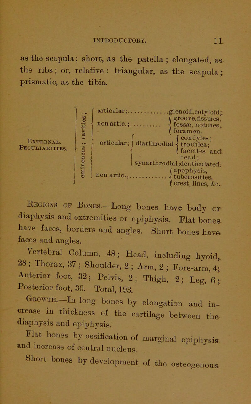 as the scapula; short, as the patella ; elongated, as the ribs; or, relative : triangular, as the scajiula * prismatic, as the tibia. Extebnal. Peculiabities. CO CD O G © a a © r i articular;, non artic.; articular; non artic., glenoid, cotyloid; ( groove,fissures, -j fossffi, notches,. ( foramen. ( condyles; diarthrodial ■< trochlea; i ( facettes and. head; l synarthrodial ;dei i ti culated; ( apophysis, -< tuberosities, ( crest, lines, &c. Regions op Bones—Long bones have body or diaphysis and extremities or epiphysis. Flat bones have faces, borders and angles. Short bones have faces and angles. Vertebral Column, 48; Head, including hyoid, 28 ; Thorax, 37 ; Shoulder, 2 ; Arm, 2 ; Fore-arm, 4; Anterior foot, 32; Pelvis, 2; Thigh, 2; Leg, 6 ; Posterior foot, 30. Total, 193. Growth—In long bones by elongation and in- crease in thickness of the cartilage between the diaphysis and epiphysis. Flat bones by ossification of marginal epiphysis and increase of central nucleus. Short bones by development of the osteogenous