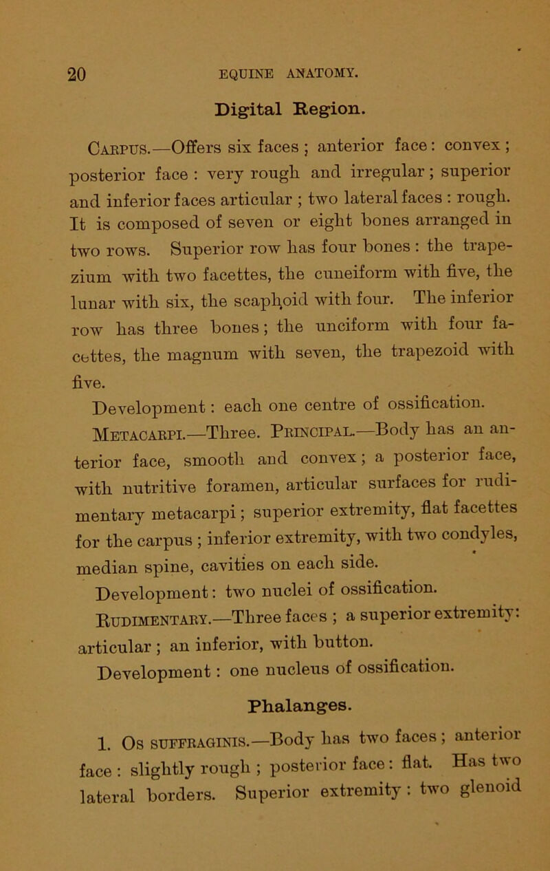 Digital Region. Carpus.—Offers six faces ; anterior face: convex ; posterior face : very rougli and irregular; superior and inferior faces articular ; two lateral faces : rougli. It is composed of seven or eight bones arranged in two rows. Superior row lias four bones : the trape- zium with two facettes, the cuneiform with five, the lunar with six, the scaphoid with four. The inferior row has three bones; the unciform with four fa- cettes, the magnum with seven, the trapezoid with five. Development: each one centre of ossification. Metacarpi.—Three. Principal.—Body has an an- terior face, smooth and convex; a posterior face, with nutritive foramen, articular surfaces foi ludi- mentary metacarpi ; superior extremity, flat facettes for the carpus ; inferior extremity, with two condoles, median spine, cavities on each side. Development: two nuclei of ossification. Rudimentary.—Three faces ; a superior extremity: articular ; an inferior, with button. Development: one nucleus of ossification. Phalanges. 1. Os SUEFRAGINIS.—Body has tivo faces ; anterior face : slightly rough ; posterior face: flat. Has two lateral borders. Superior extremity : two glenoid