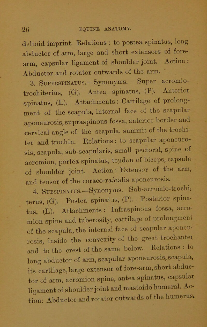 deltoid imprint. Eelations : to postea spinatus, long abductor of arm, large and short extensors of fore- arm, capsular ligament of shoulder joint. Action : Abductor and rotator outwards of the arm. 3. Supekspinatus.—Synonyms. Super acromio- trochiterius, (G). Antea spinatus, (P). Anterior spinatus, (L). Attachments: Cartilage of prolong- ment of the scapula, internal face of the scapular aponeurosis, supraspinous fossa, anterior border and cervical angle of the scapula, summit of the trochi- ter and trochin. Eelations: to scapular aponeuio- sis, scapula, sub-scapularis, small pectoral, some of acromion, portea spinatus, tendon of biceps, capsule of shoulder joint. Action : Extensor of the aim, and tensor of the coraco-rablalis aponeuiosis. 4. Subspinatus.—Synonj ms. Sub-acromio-trochi- terus, (G). Postea spinal as, (P). Posterior spina- tus, (L). Attachments: Infraspinous fossa, acro- mion spine and tuberosity, cartilage of prolongmeul of the scapula, the internal face of scapular aponeu- rosis, inside the convexity of the great trochantei and to the crest of the same below. Eelations : to long abductor of arm, scapular aponeurosis, scapula, its cartilage, large extensor of fore-arm, short abduc- tor of arm, acromion spine, antea spinatus, capsular ligament of shoulder joint and mastoido humeral. Ac- tion: Abductor and rotator outwards of the humerus.